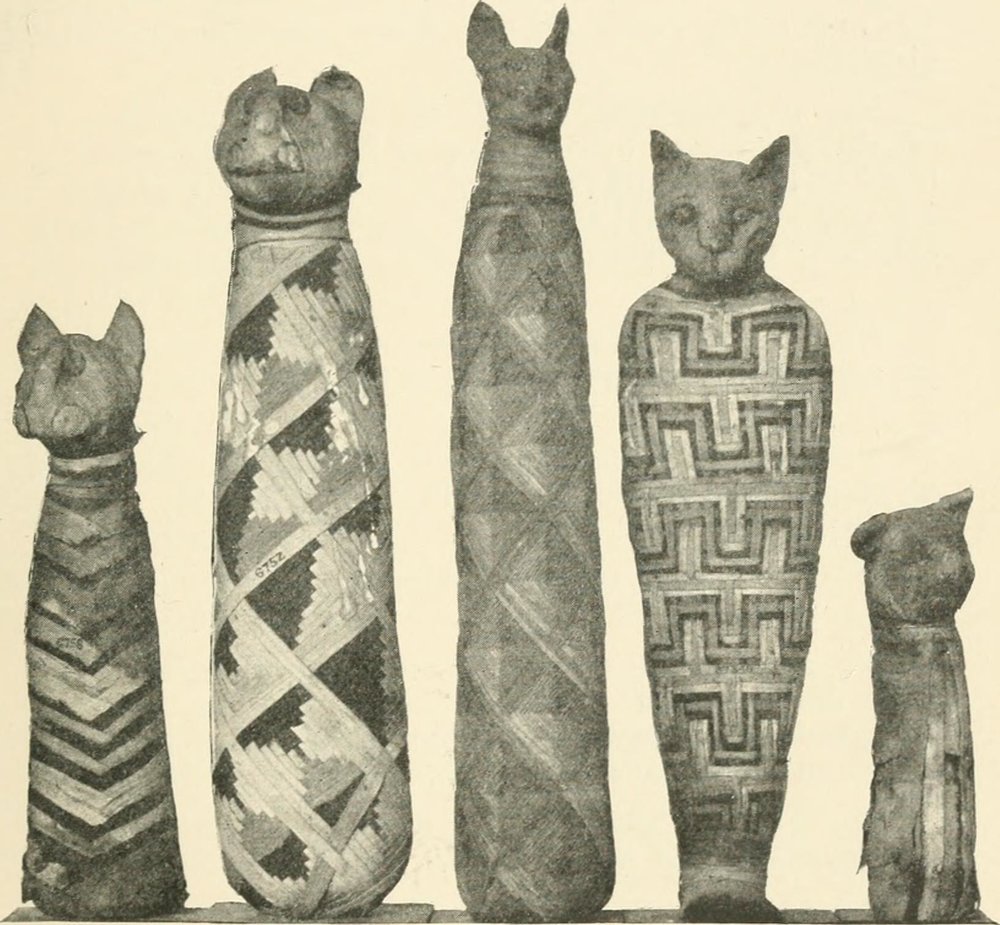 The Mummified Animals of Ancient Egypt