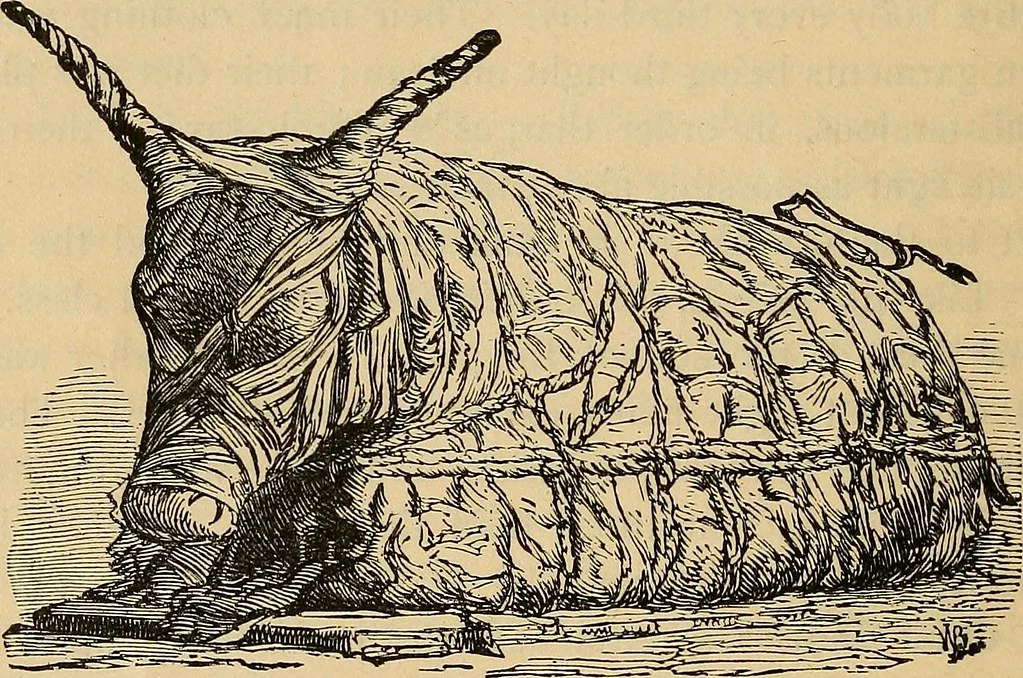 Part of Egypt was home to a cult that worshiped (and mummified) bulls