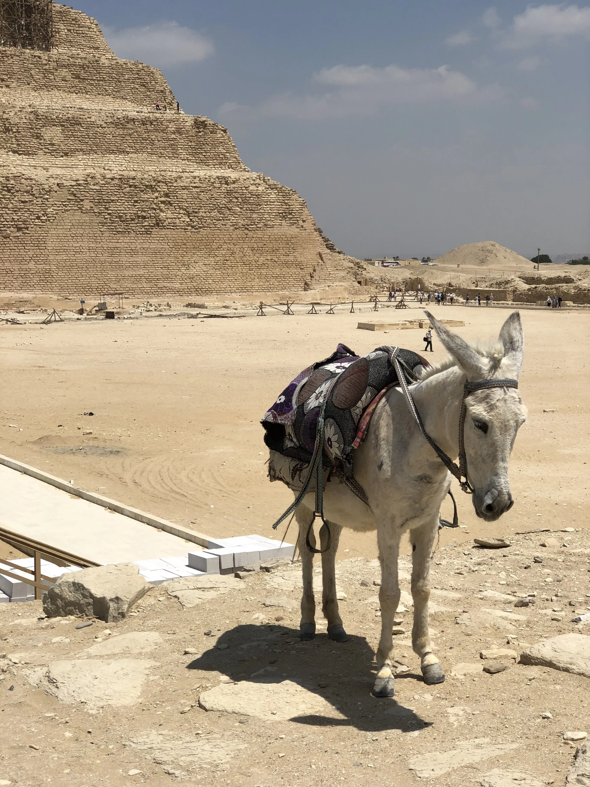 When you’re in Cairo, find a guide who’s not an ass like ours was — and spend an afternoon in the ancient necropolis of Saqqara