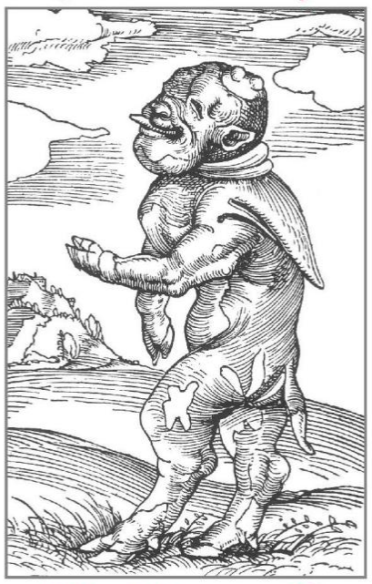 The moon could botch a pregnancy, resulting in a horrifically deformed creature called a mooncalf.