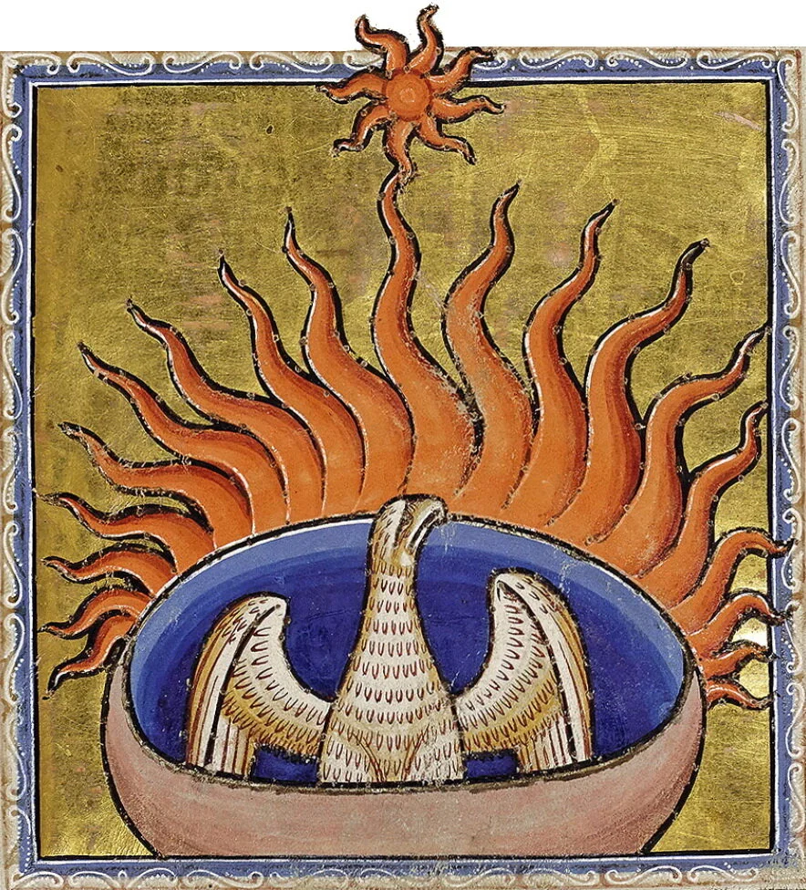 Phoenix tears are believed to have healing powers, and no one can tell a lie when this creature is nearby.