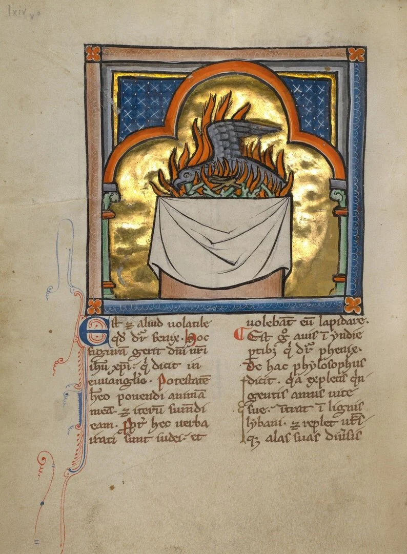 A page from a medieval bestiary shows a phoenix. Christians liked how the fabled bird symbolized resurrection.