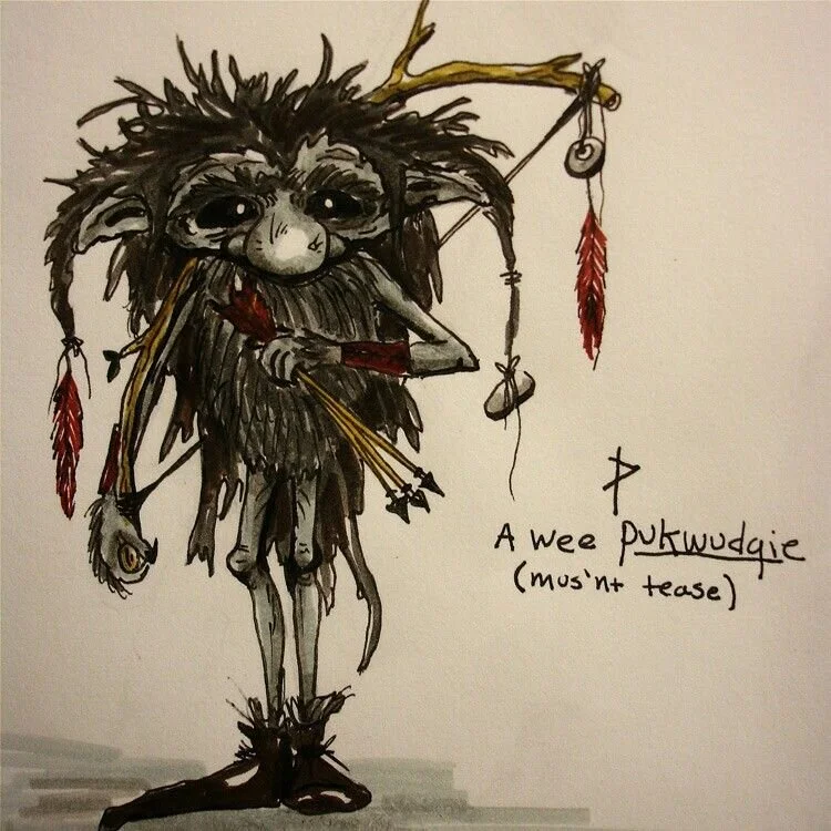 Whatever you do, don’t make fun of a pukwudgie. They’re not typically malevolent, but they could cause great harm if you don’t treat them with respect.