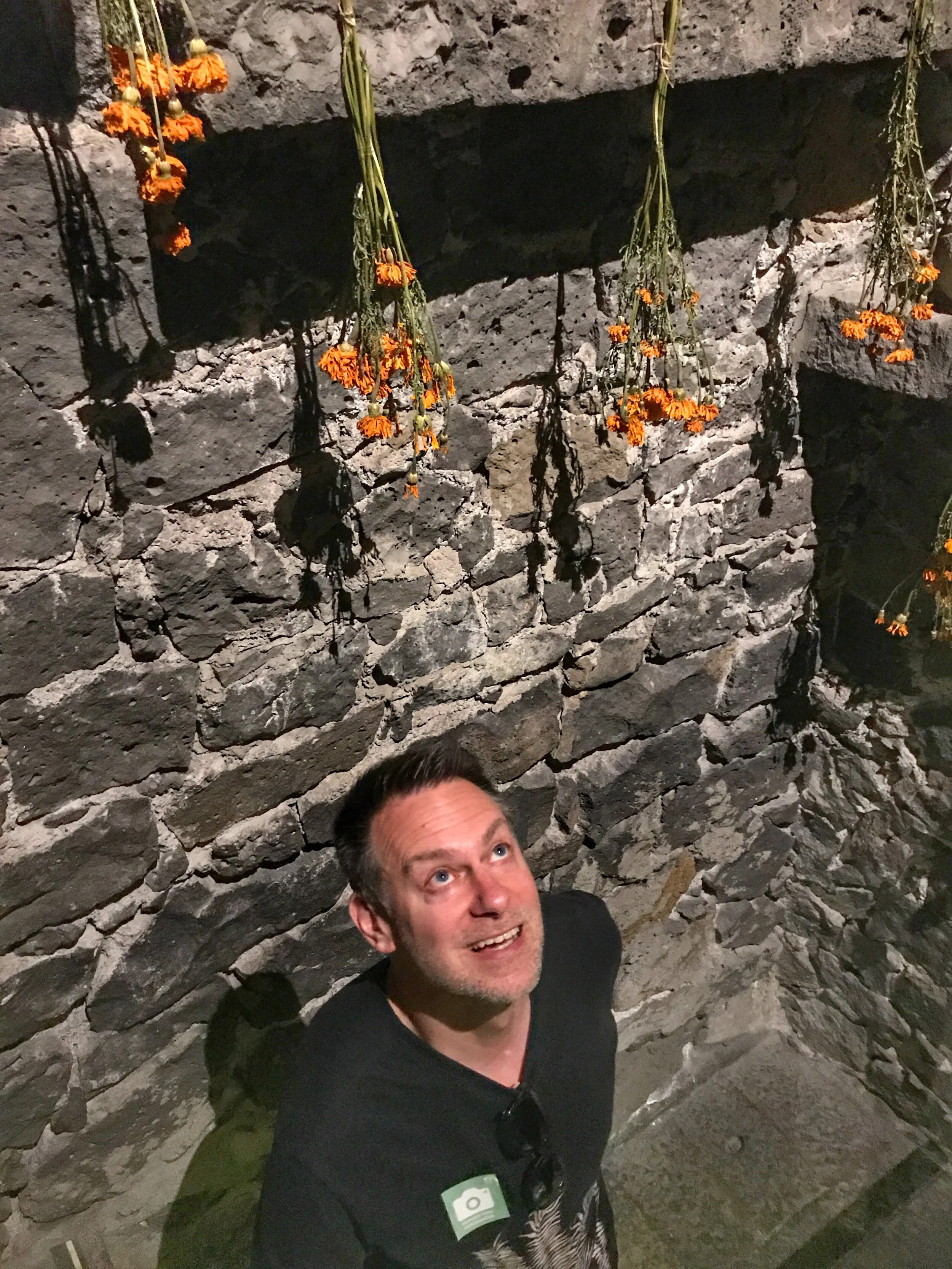 Duke looks up at the dried marigolds that fill this stairwell.