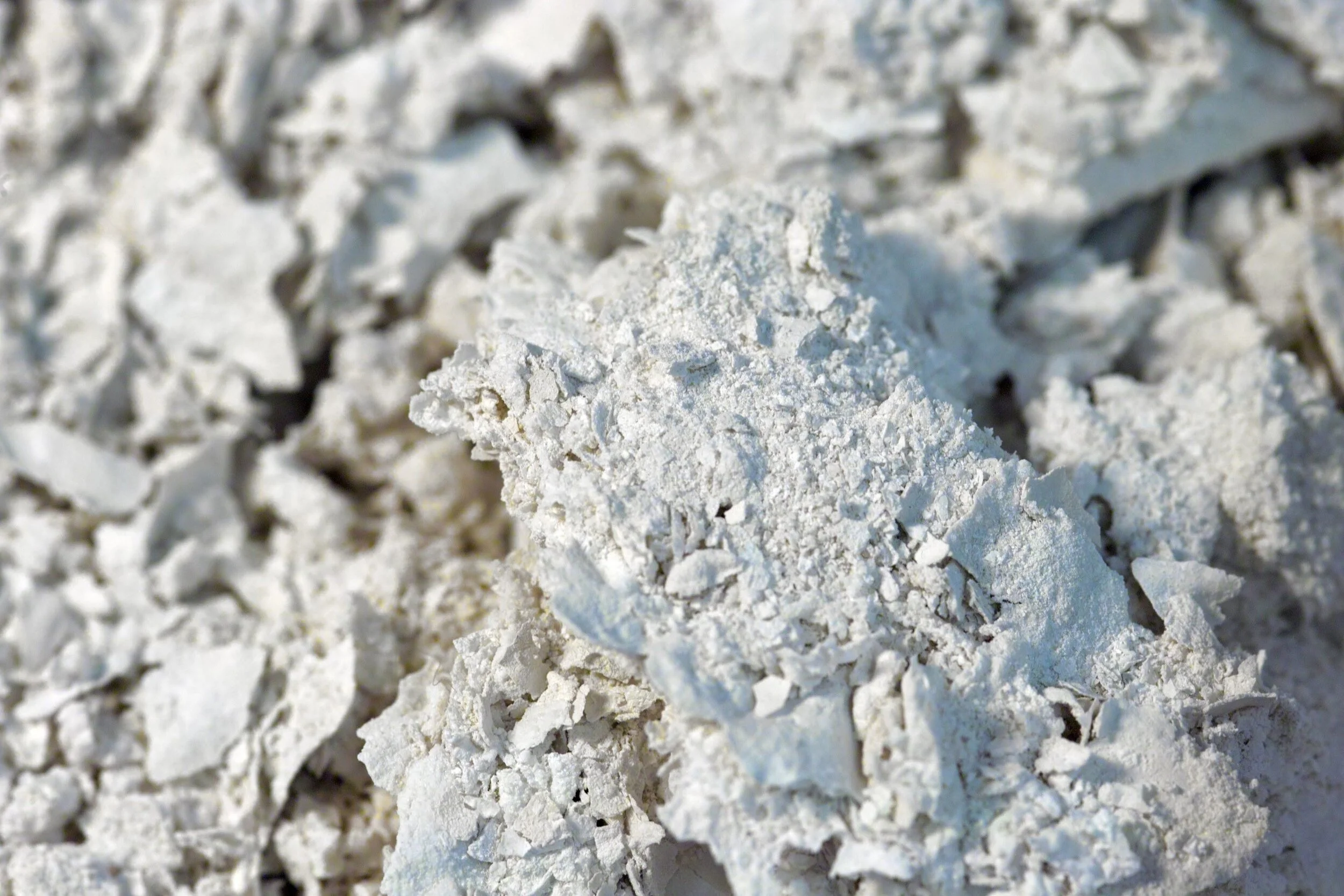 Lead White: The Deadliest Color?