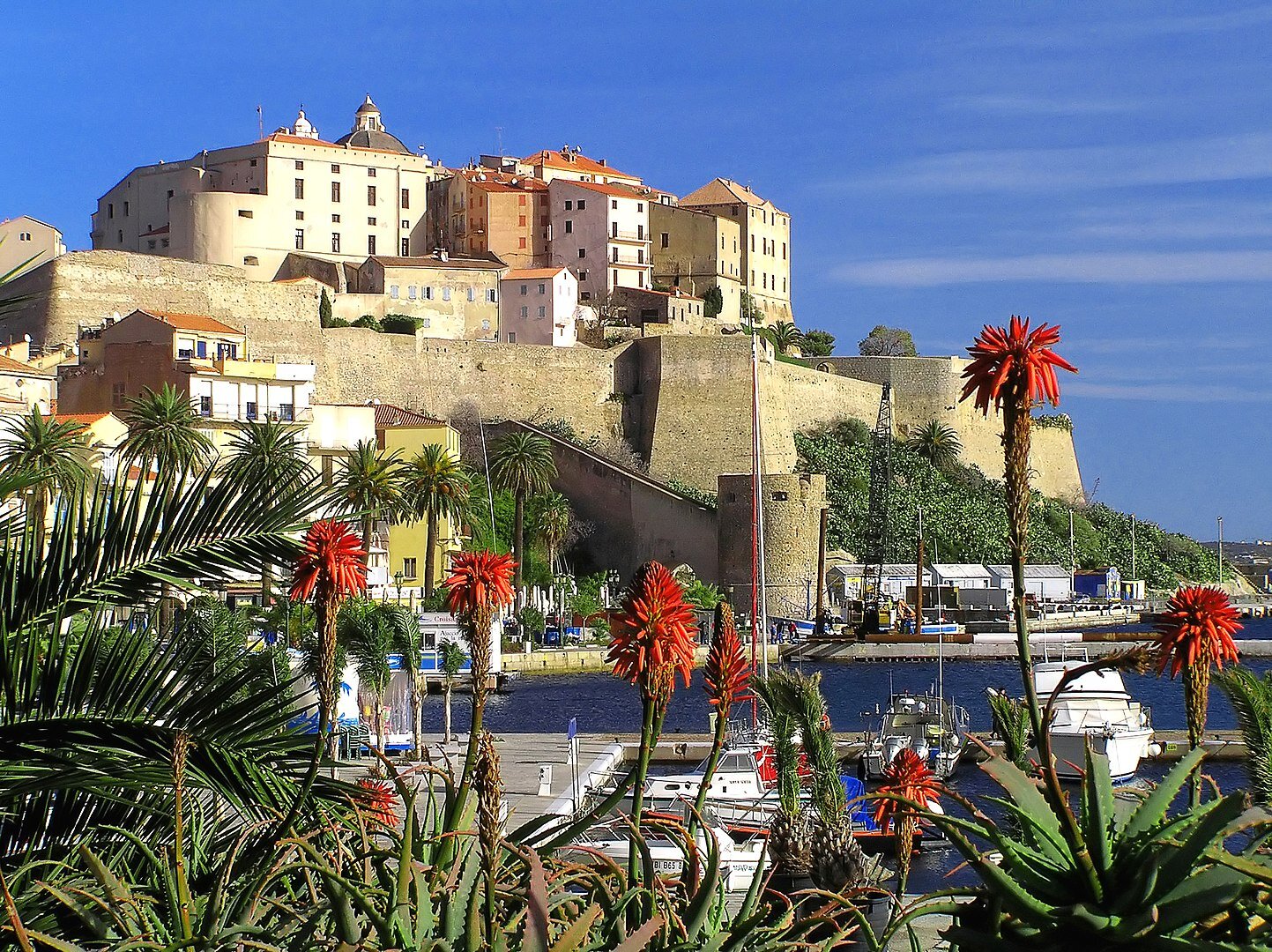 Tour the Calvi Citadel, which offers views of the port.