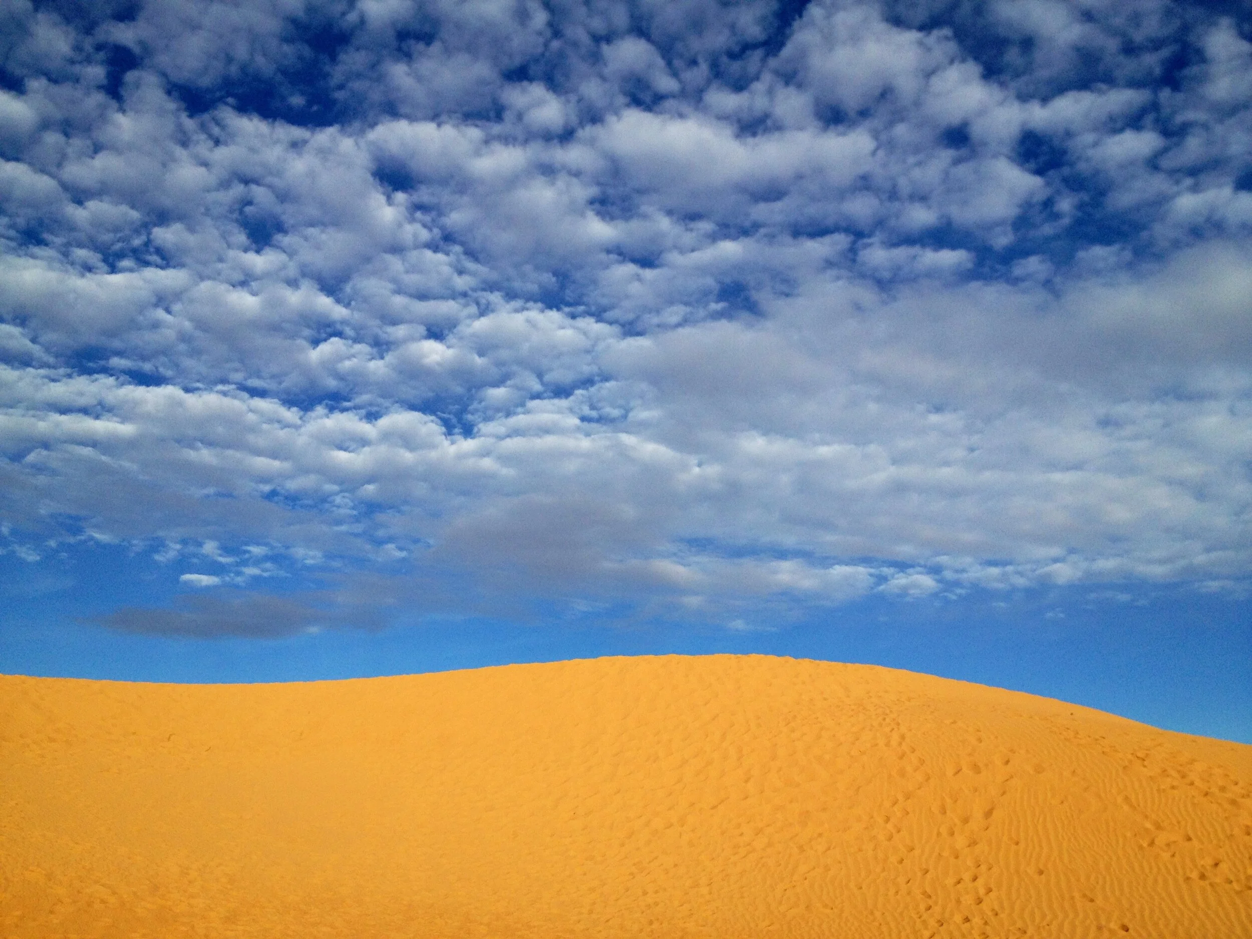 Overnight in the Sahara Desert