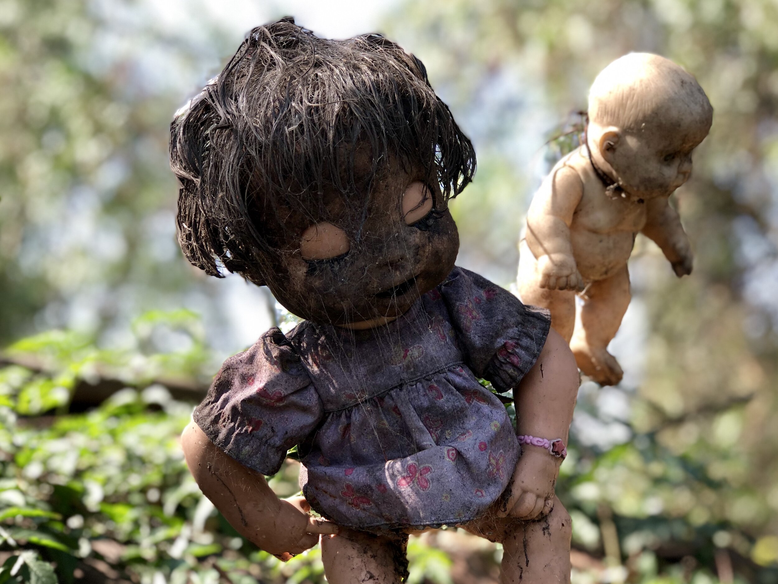 Horrifying (but cool) dolls like this are strung up all over the Island of the Dead Dolls.