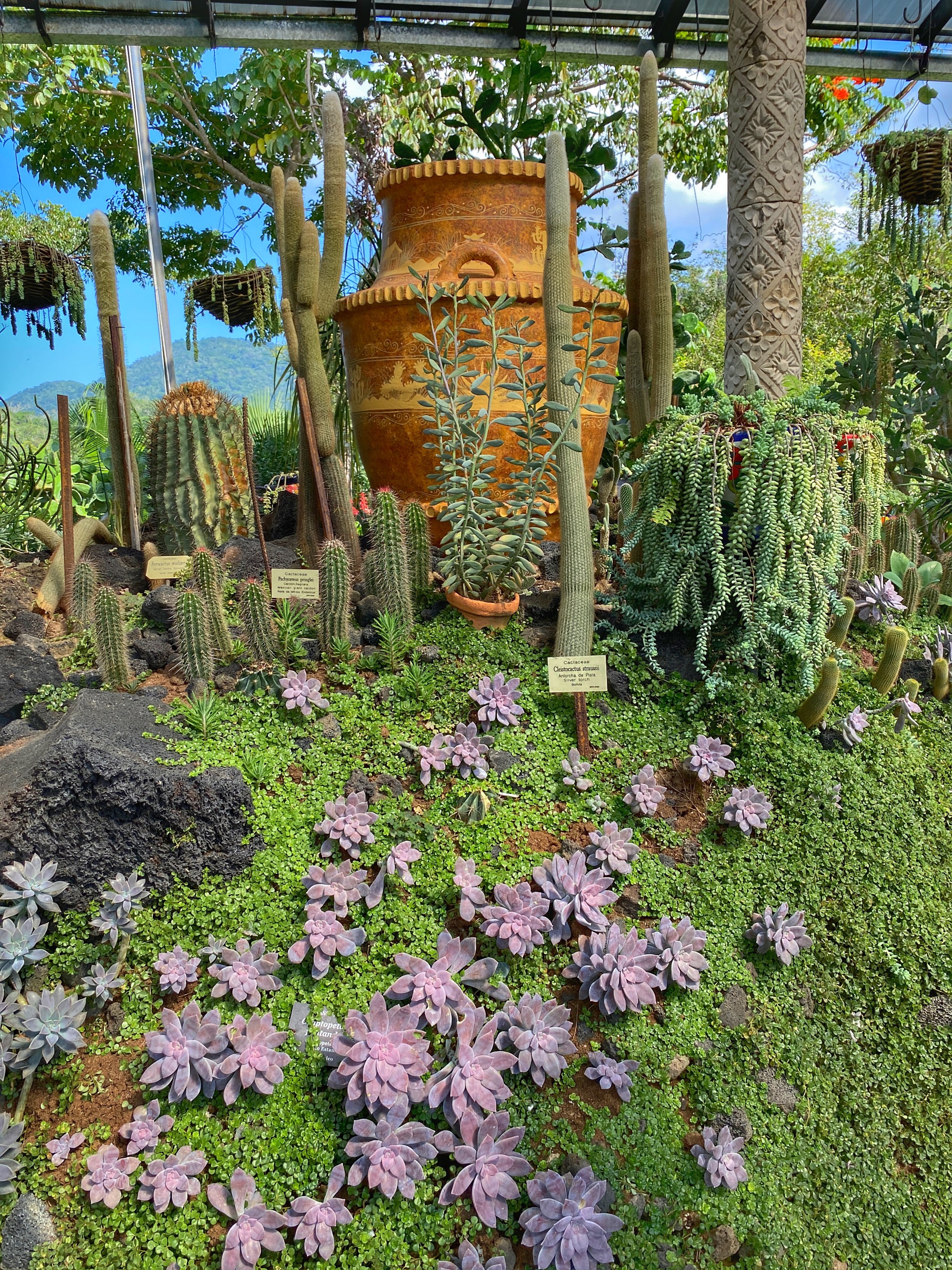 Puerto Vallarta Botanic Garden: Mexico’s Eden