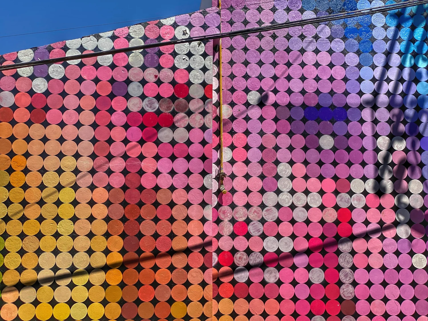 Eva Bracamontes, Bué the Warrior and Other Street Artists of Puerto Vallarta