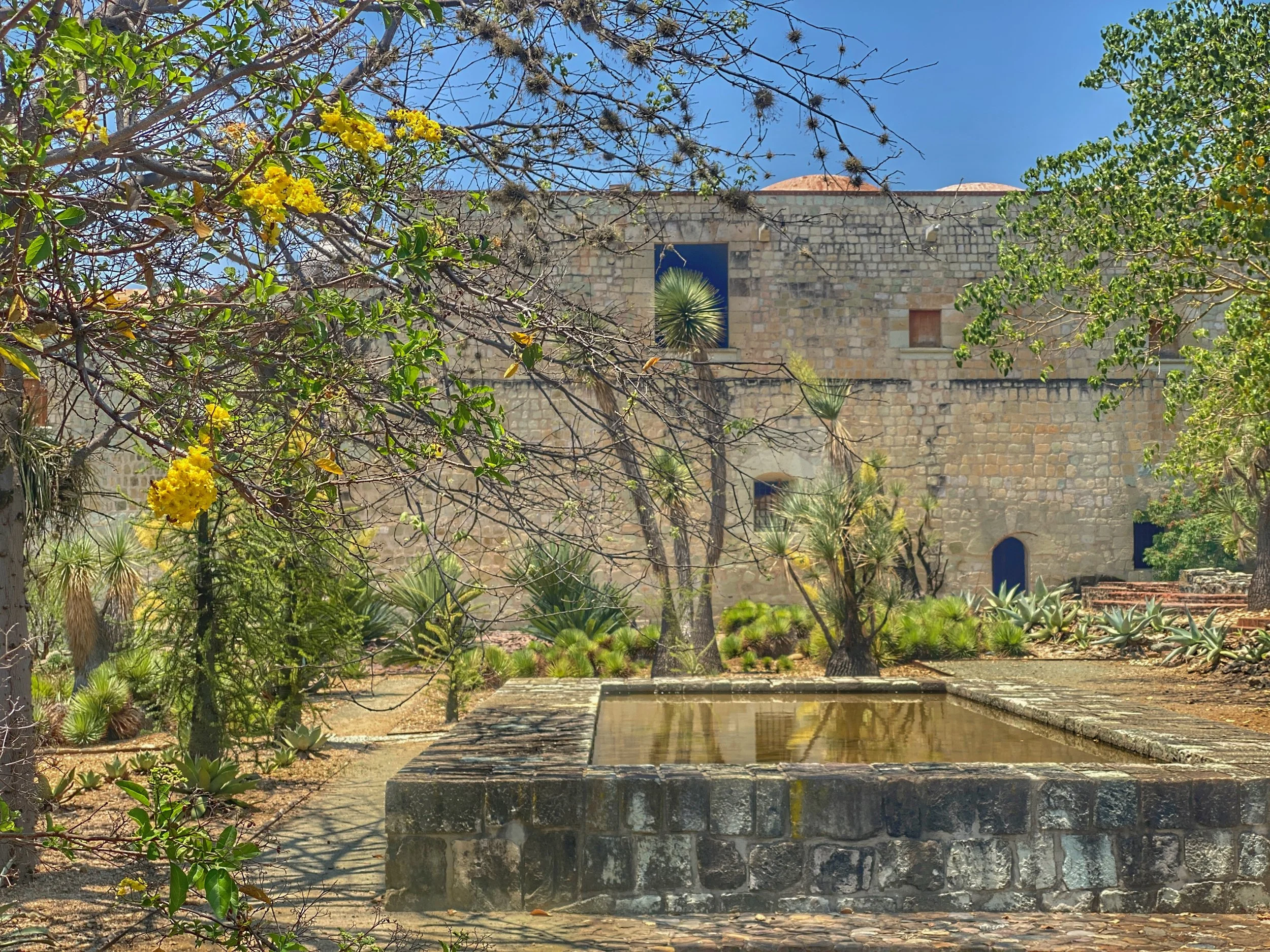 A Tour of the Oaxaca Botanical Garden