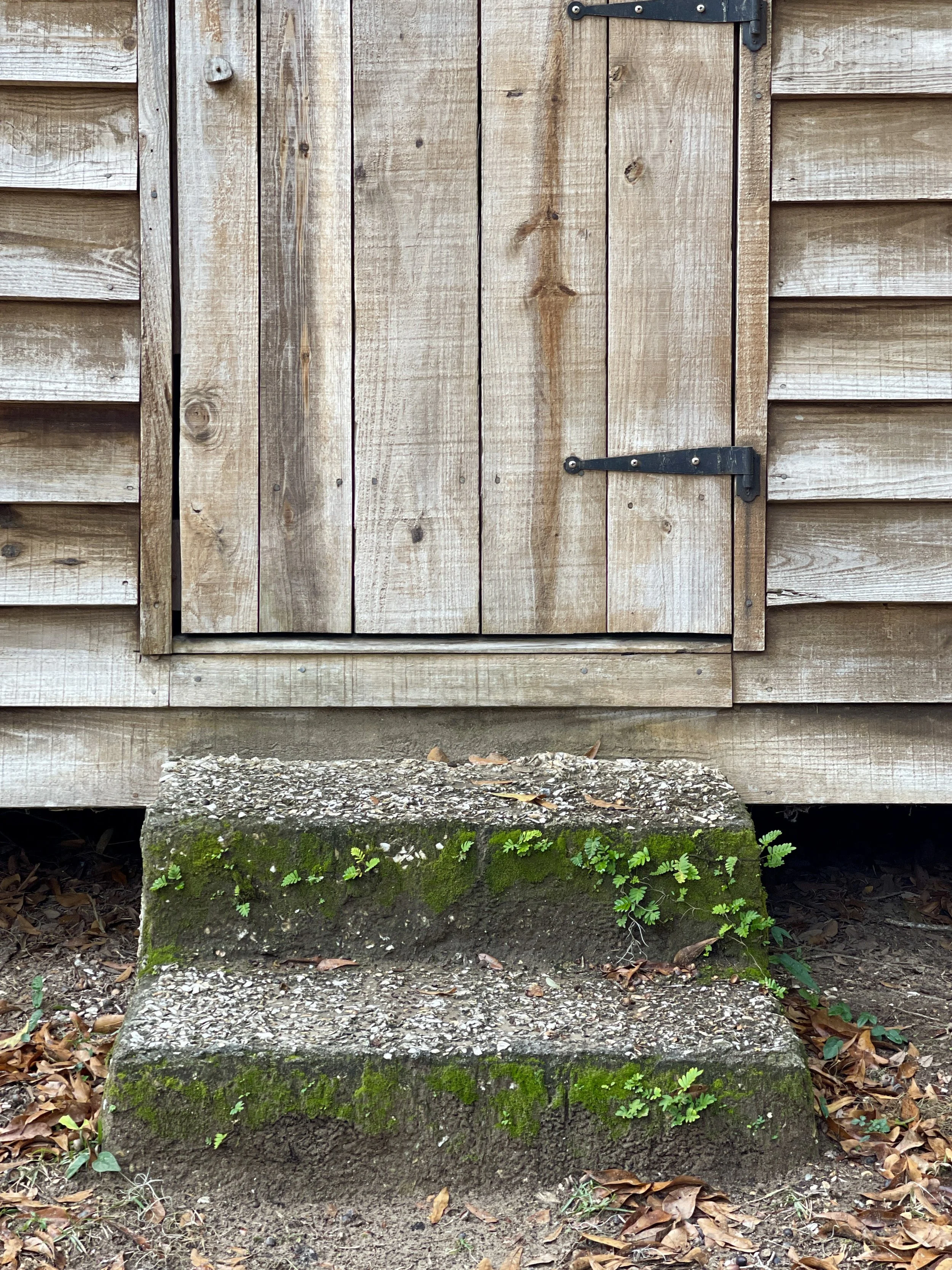 Daufuskie Island History and Artisan Tour