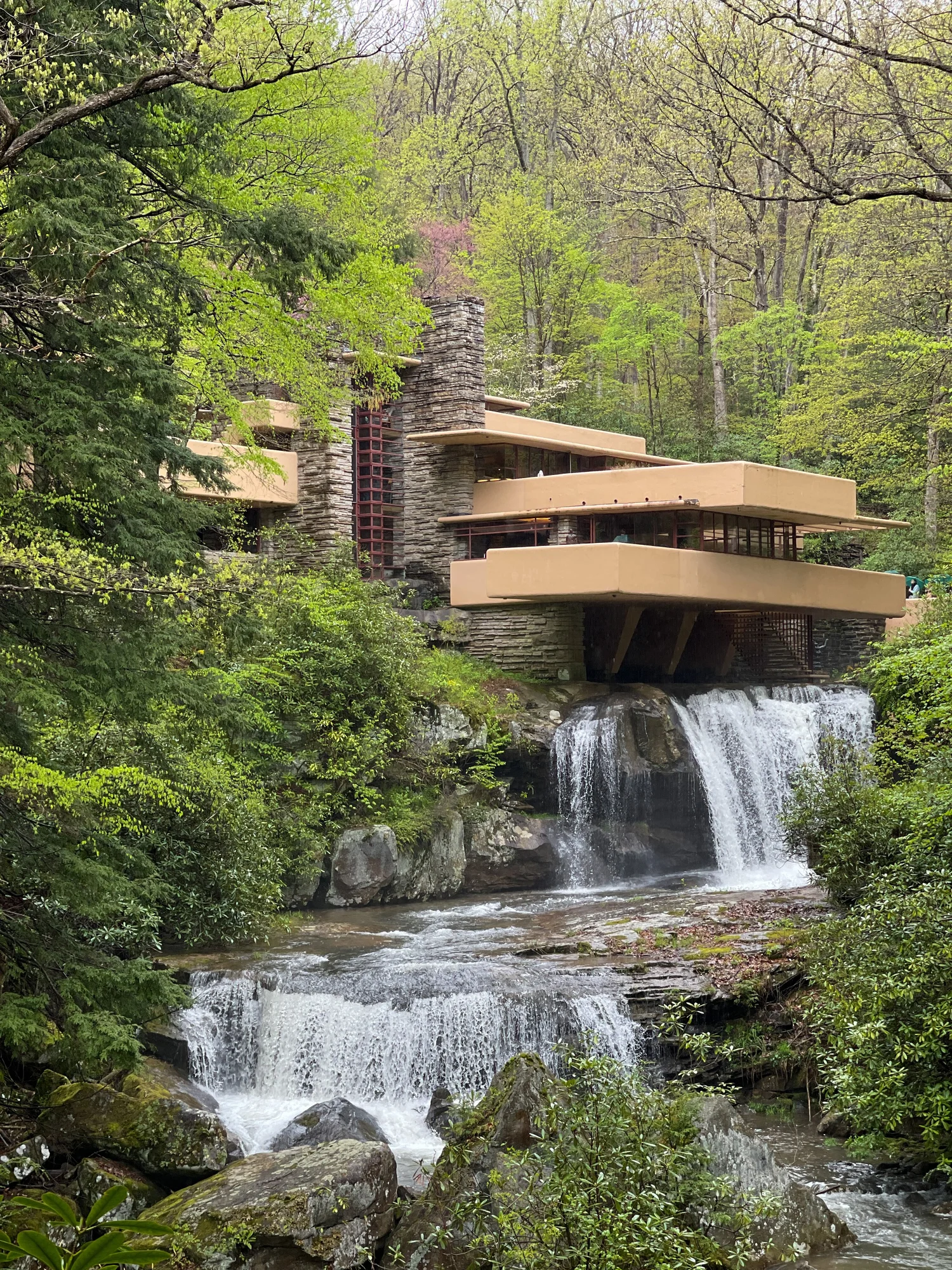 Falling for Frank Lloyd Wright's Fallingwater