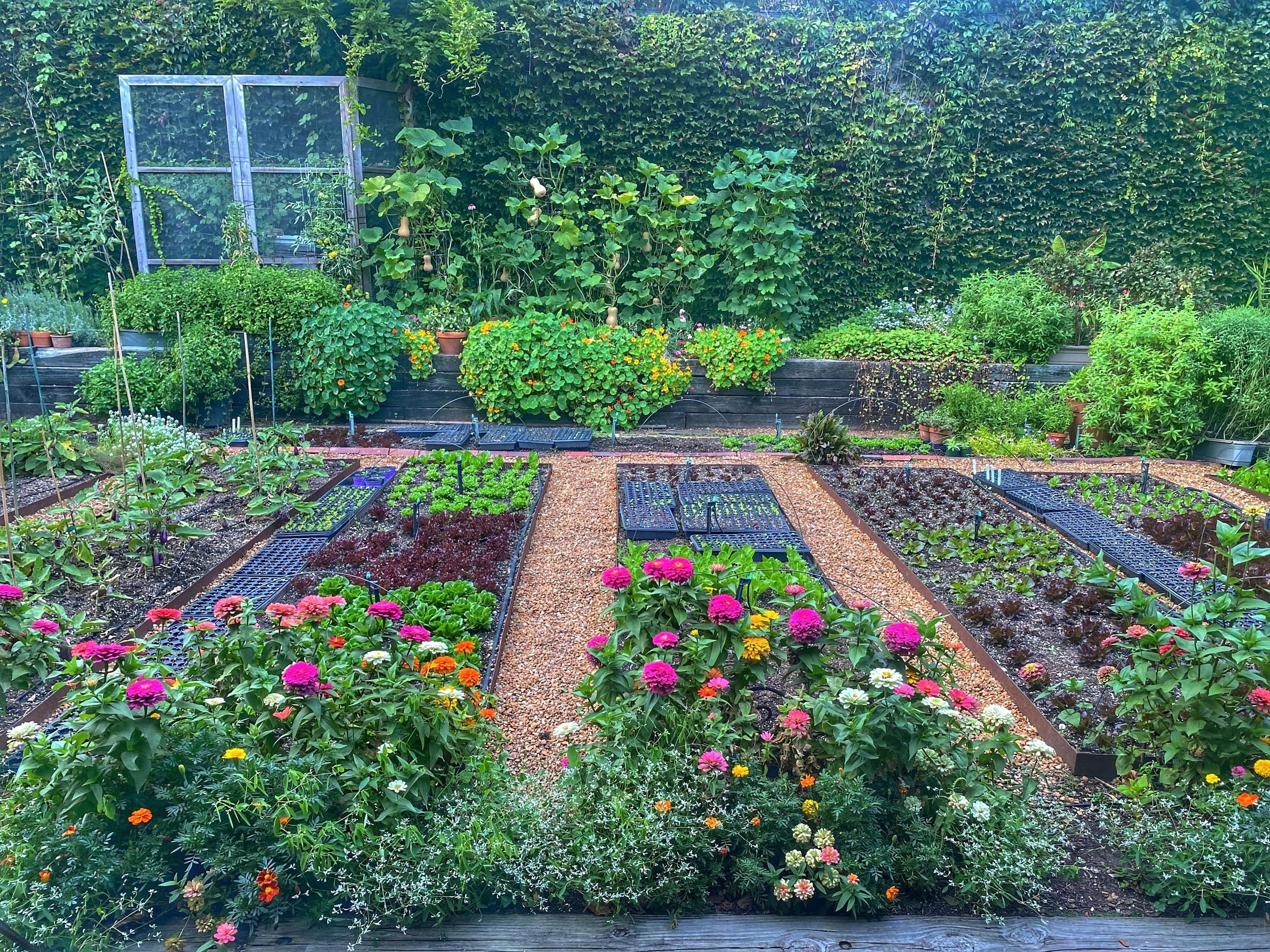 Rick Bayless Garden Tour: A Flavorful Experience