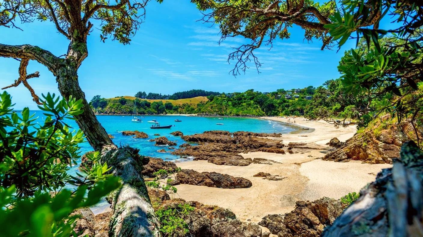 Why You Should Explore Waiheke Island in New Zealand