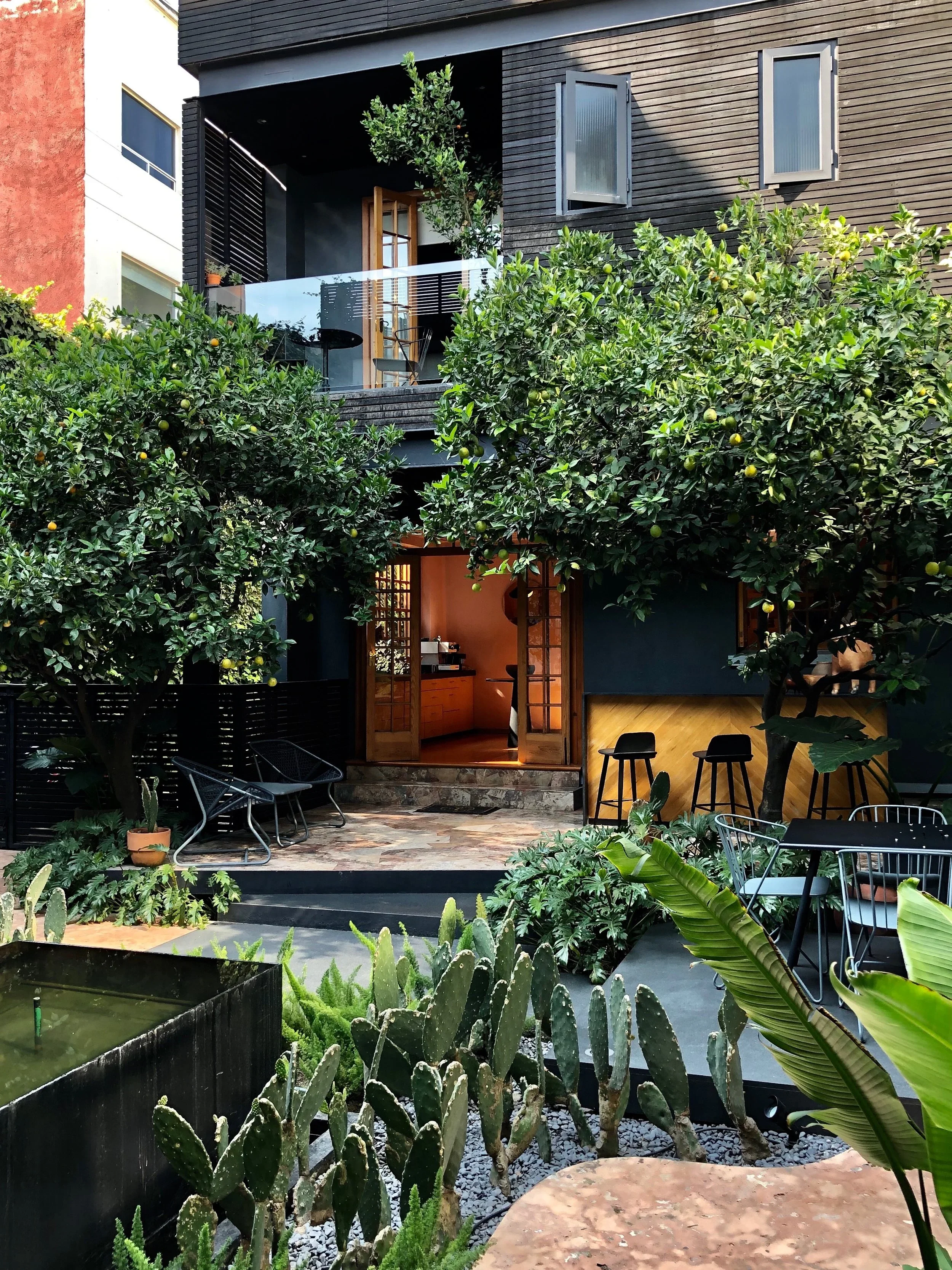 The backyard of Ignacia Guest House in Mexico City, with cacti, a water feature, bar and trees