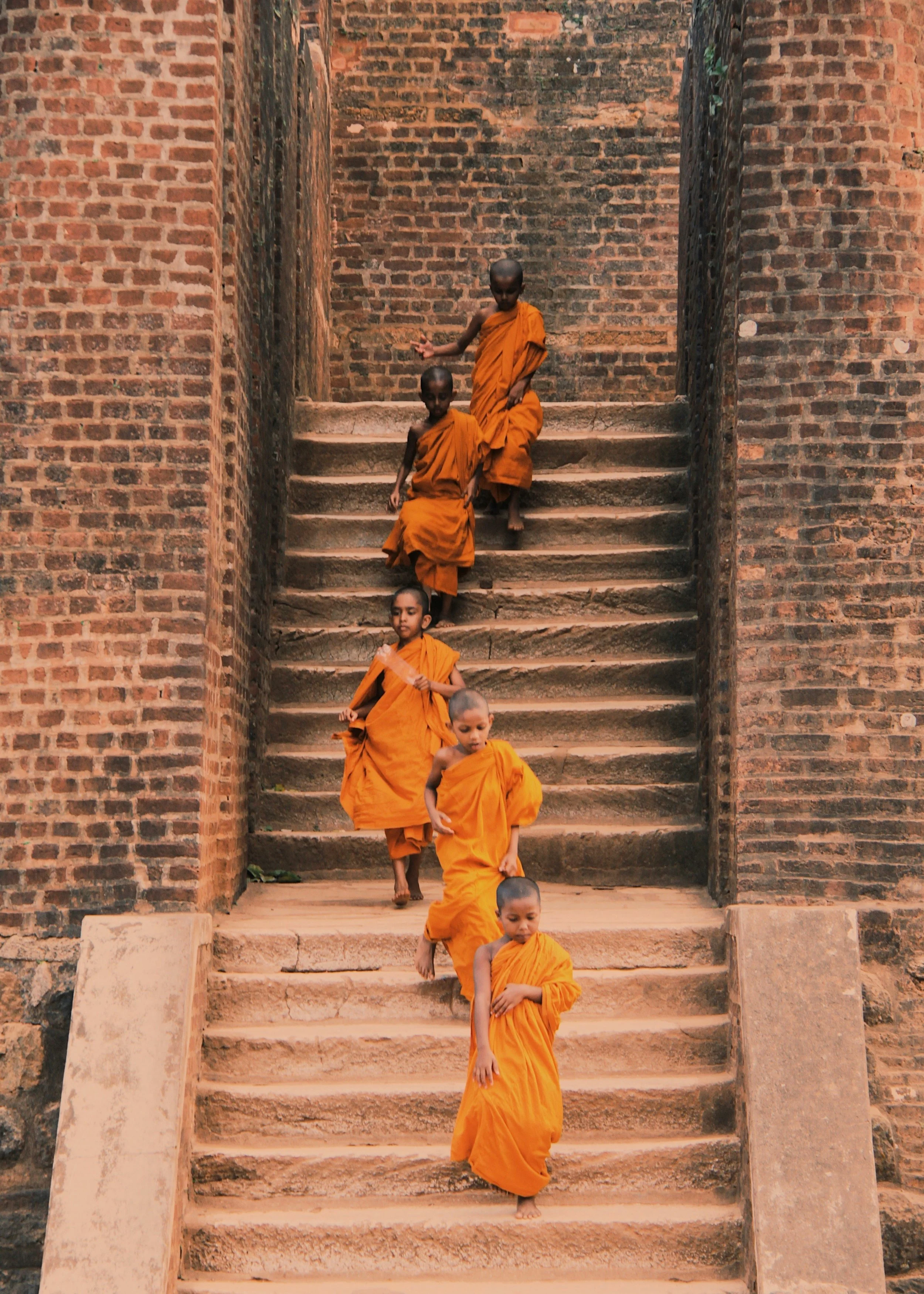 Young Buddhist monks walk down a staircase in their saffron robes