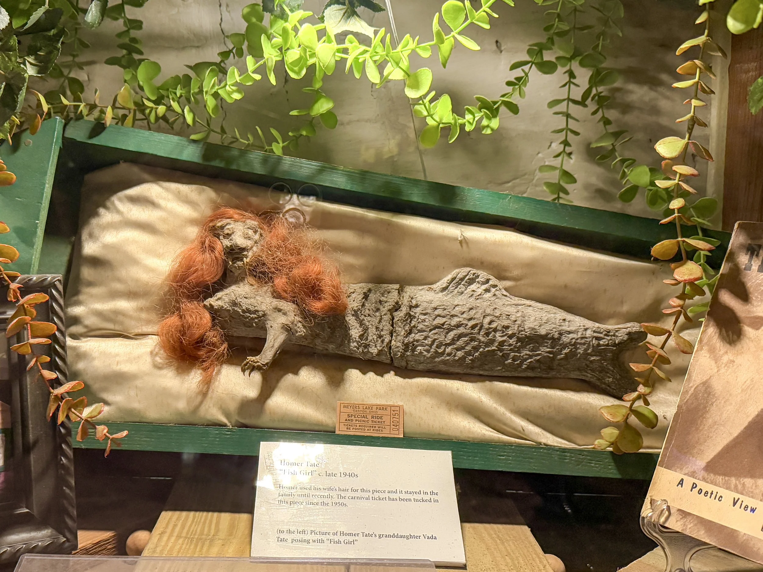 Fish Girl, a gaffe by Homer Tate, a Fiji mermaid hoax with red hair, at the Graveface Museum in Savannah, Georgia