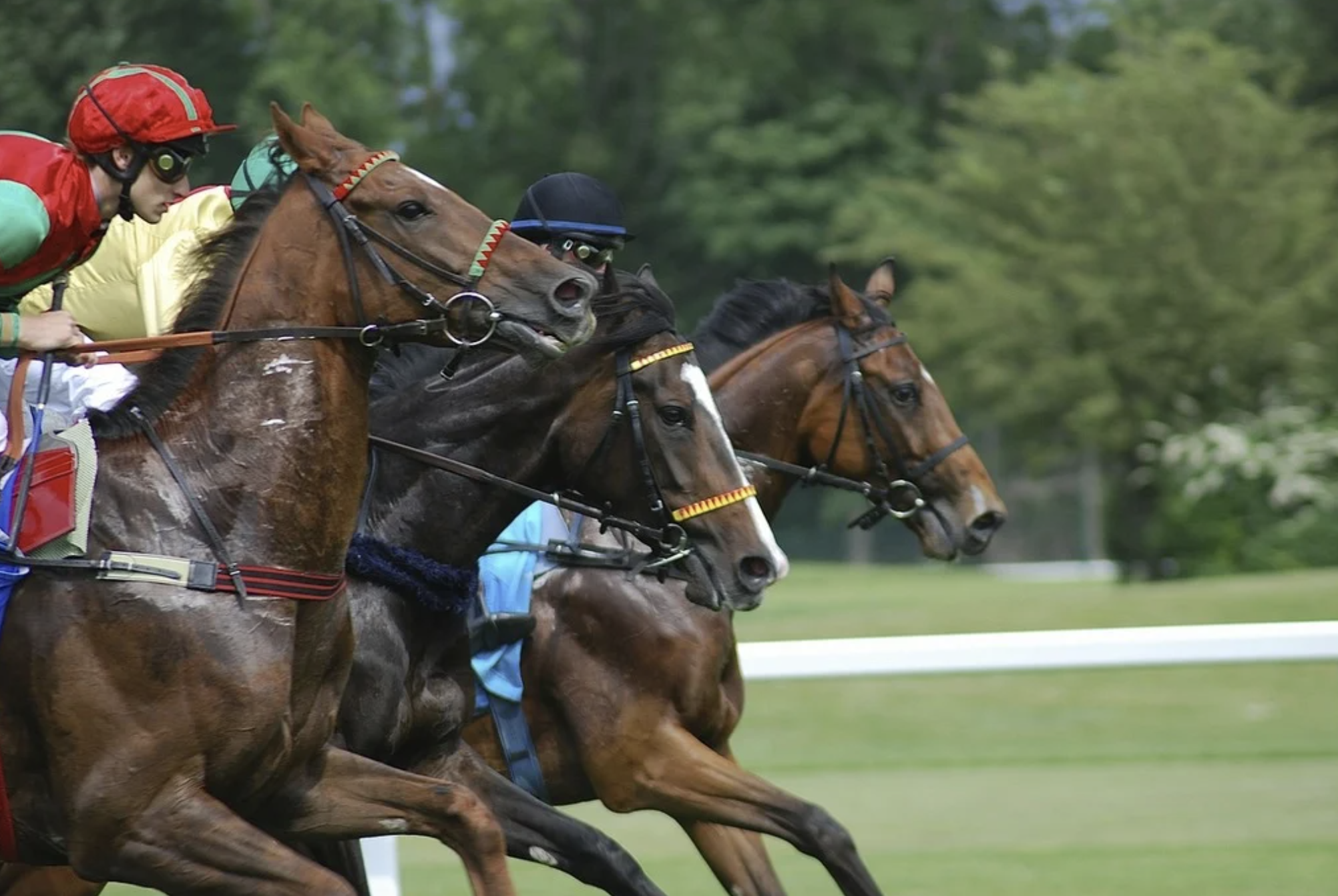 Horses with jockeys race at the Melbourne Cup in Australia