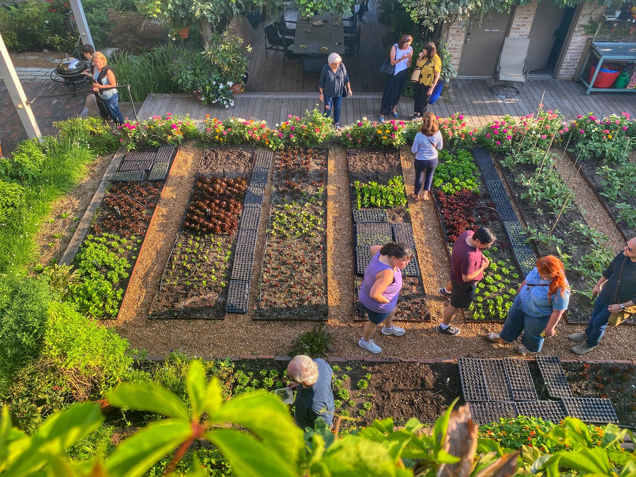Looking down into Rick Bayless' Bucktown, Chicago garden