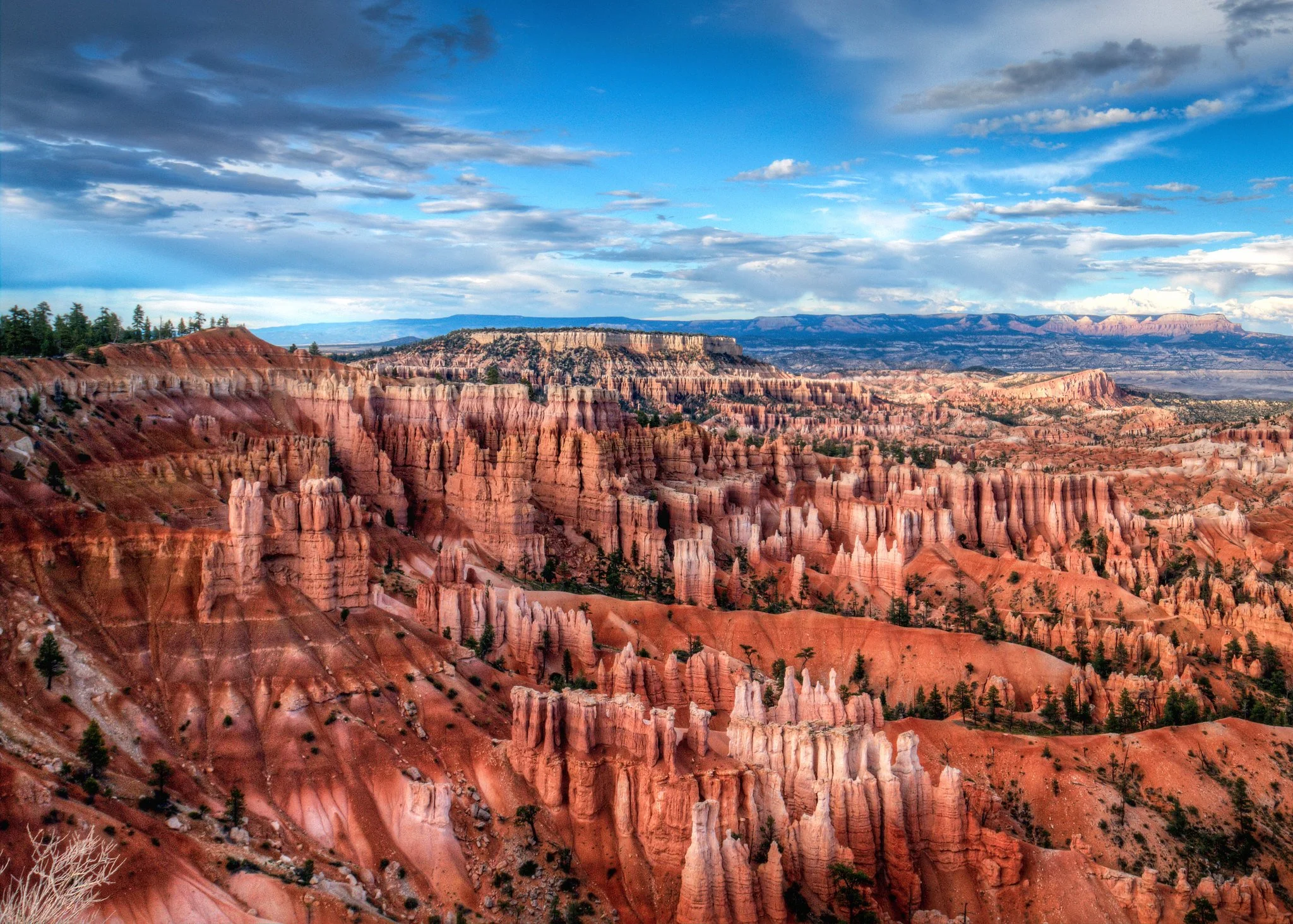 Row after row of hoodoo rock formations at Bryce Canyon in Utah