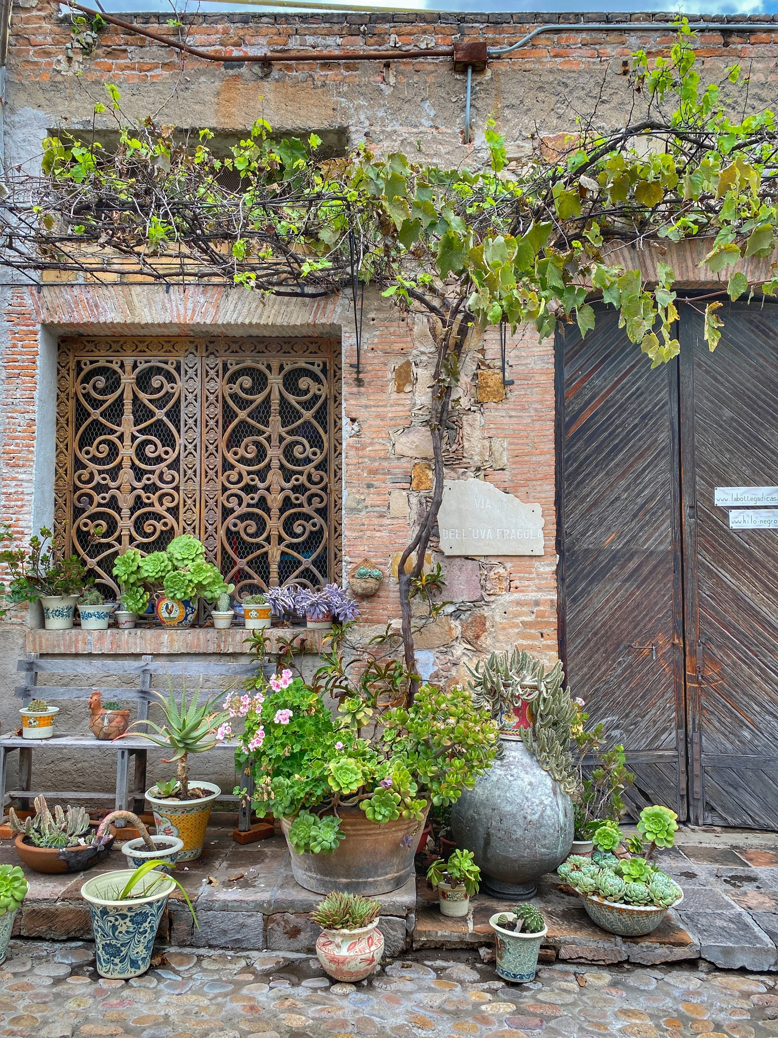 Pots of succulents and flowers by brick wall, iron window framework and wood door at La Fabrica la Aurora