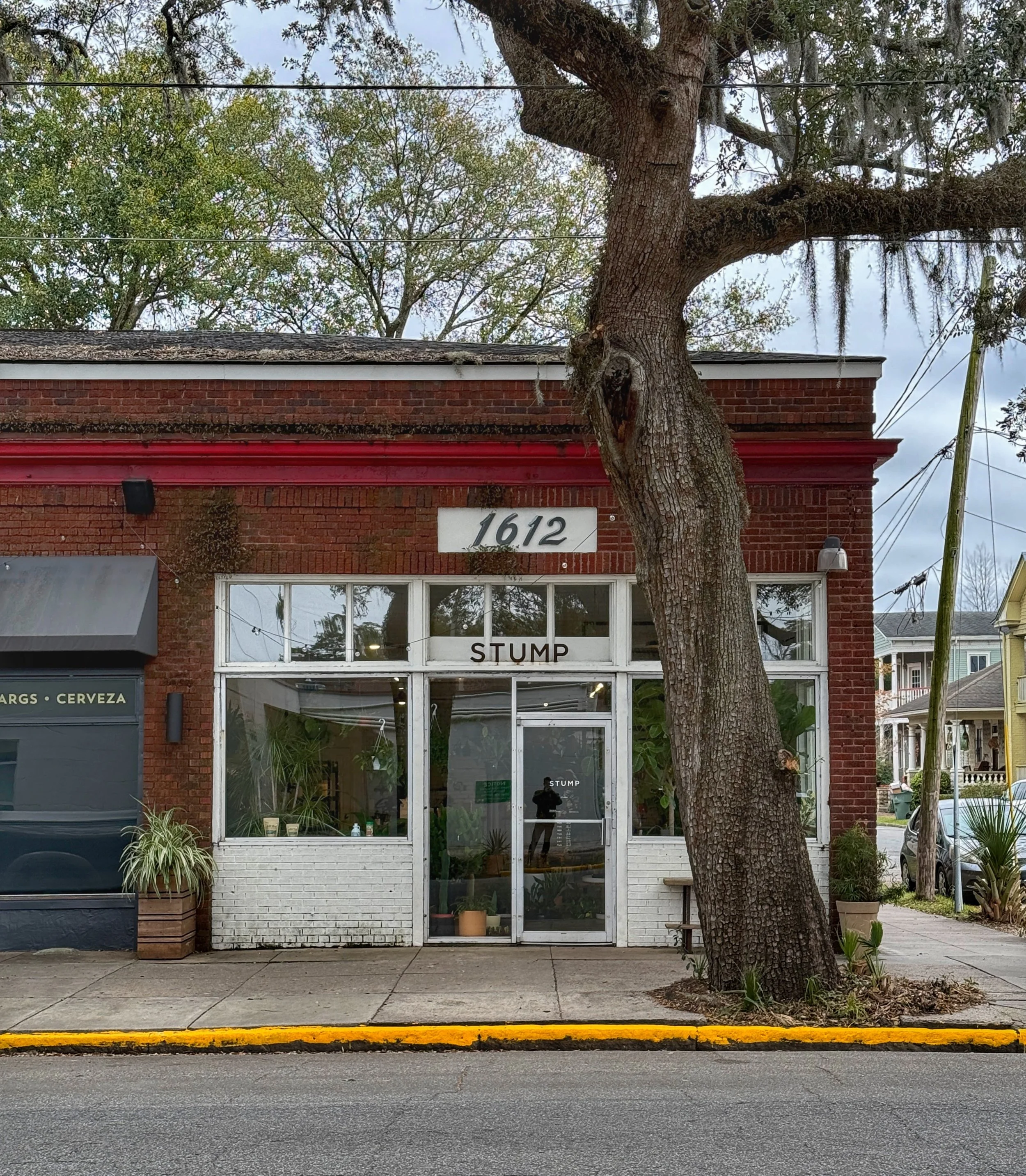 Facade of Stump plant shop, with brick and a tree out front in Savannah