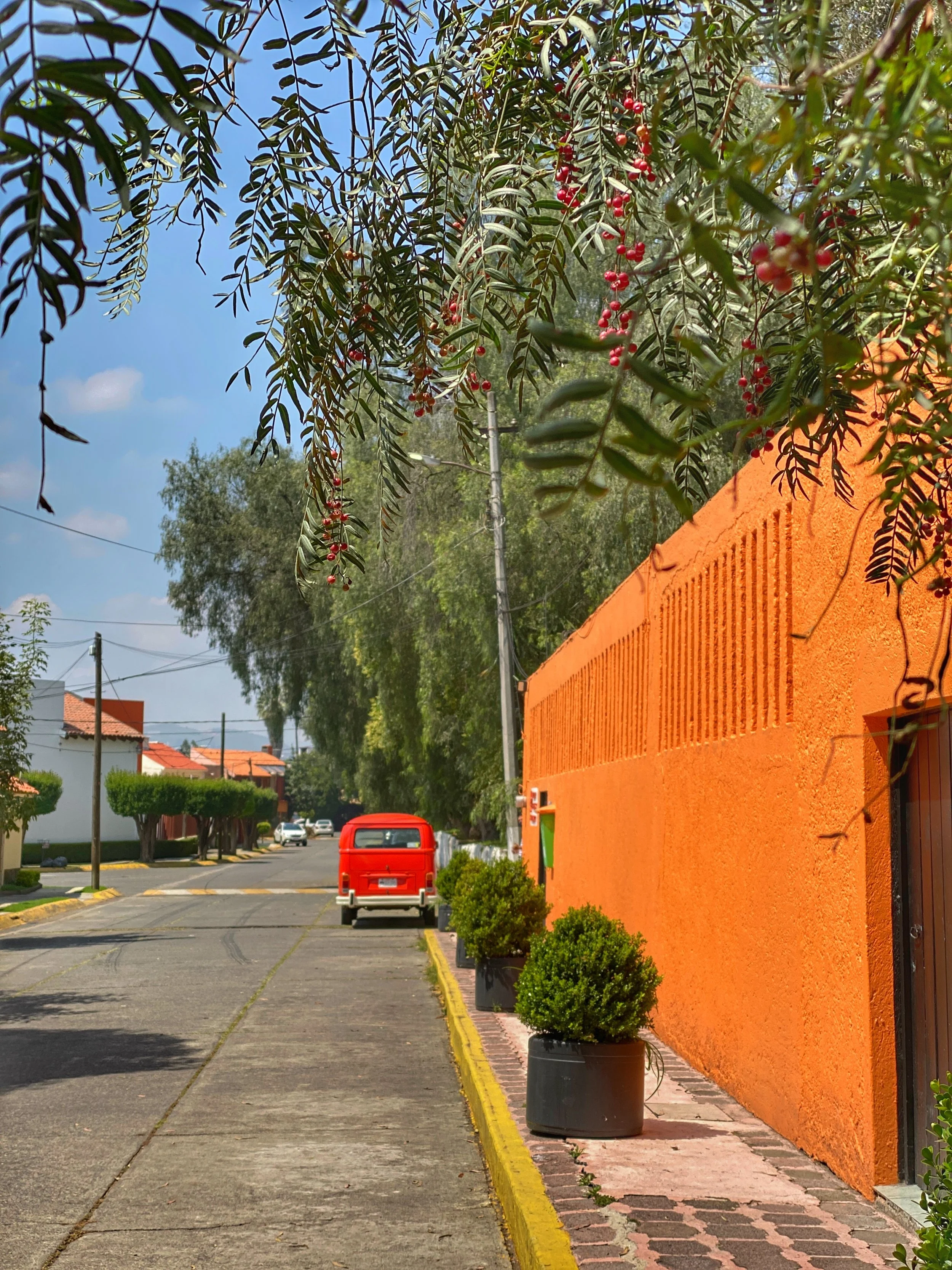 Old orange storage building at Los Bebederos