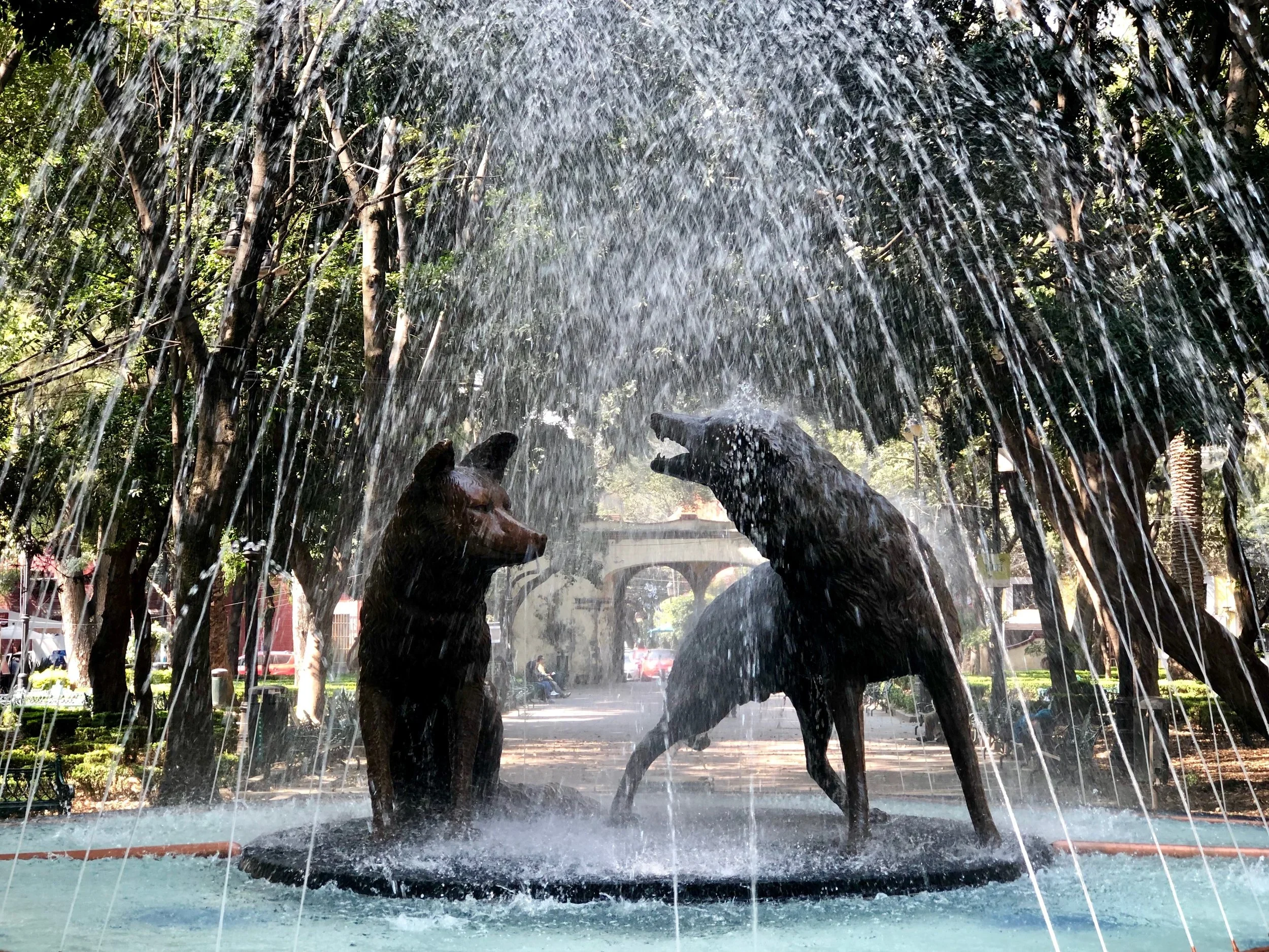 The fountain of two wolves in the square of Coyoacán in Mexico City