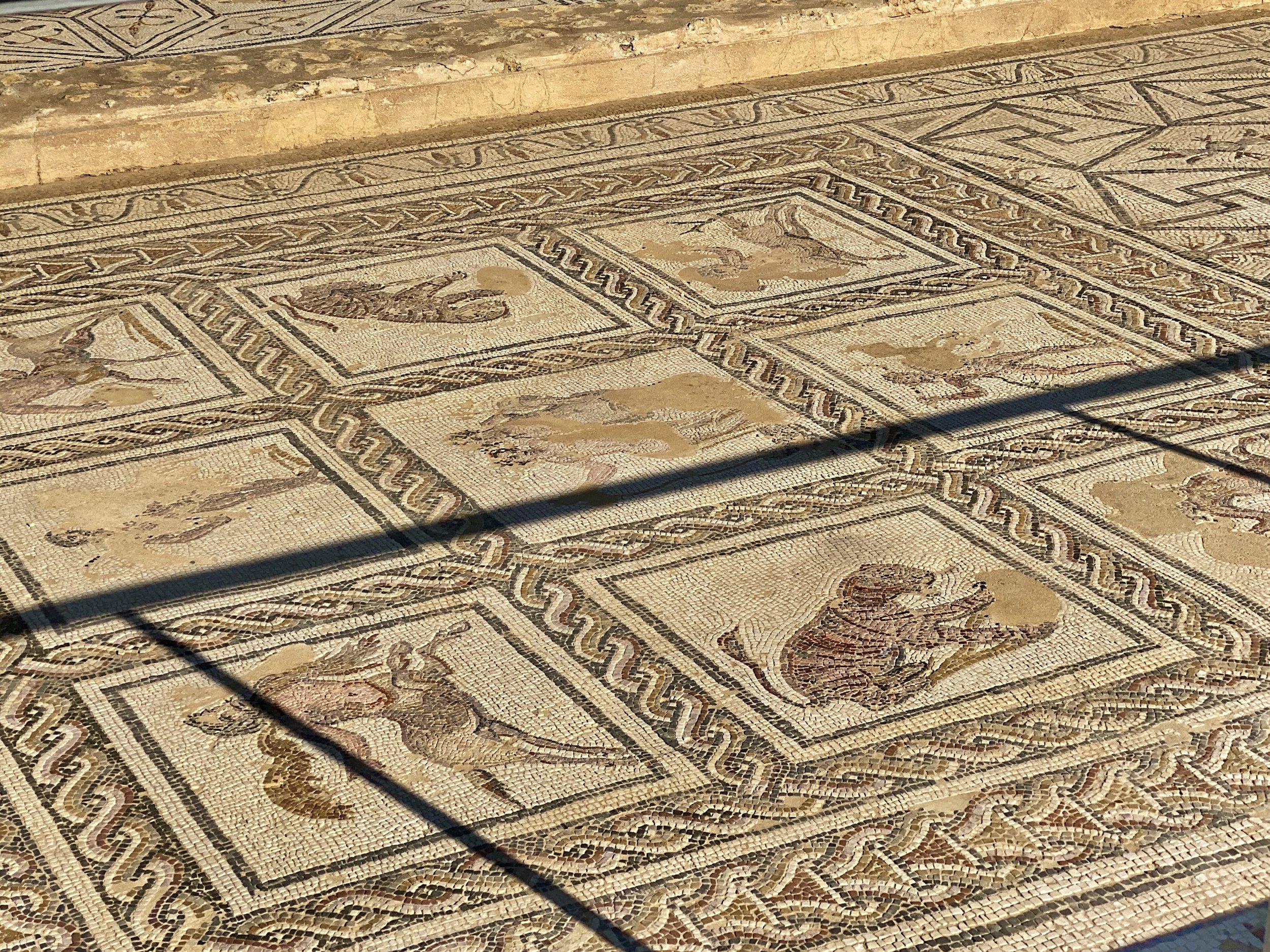 Mosaic at the House of the Planetarium at Italica in Spain, depicting centaurs, tigers and other creatures