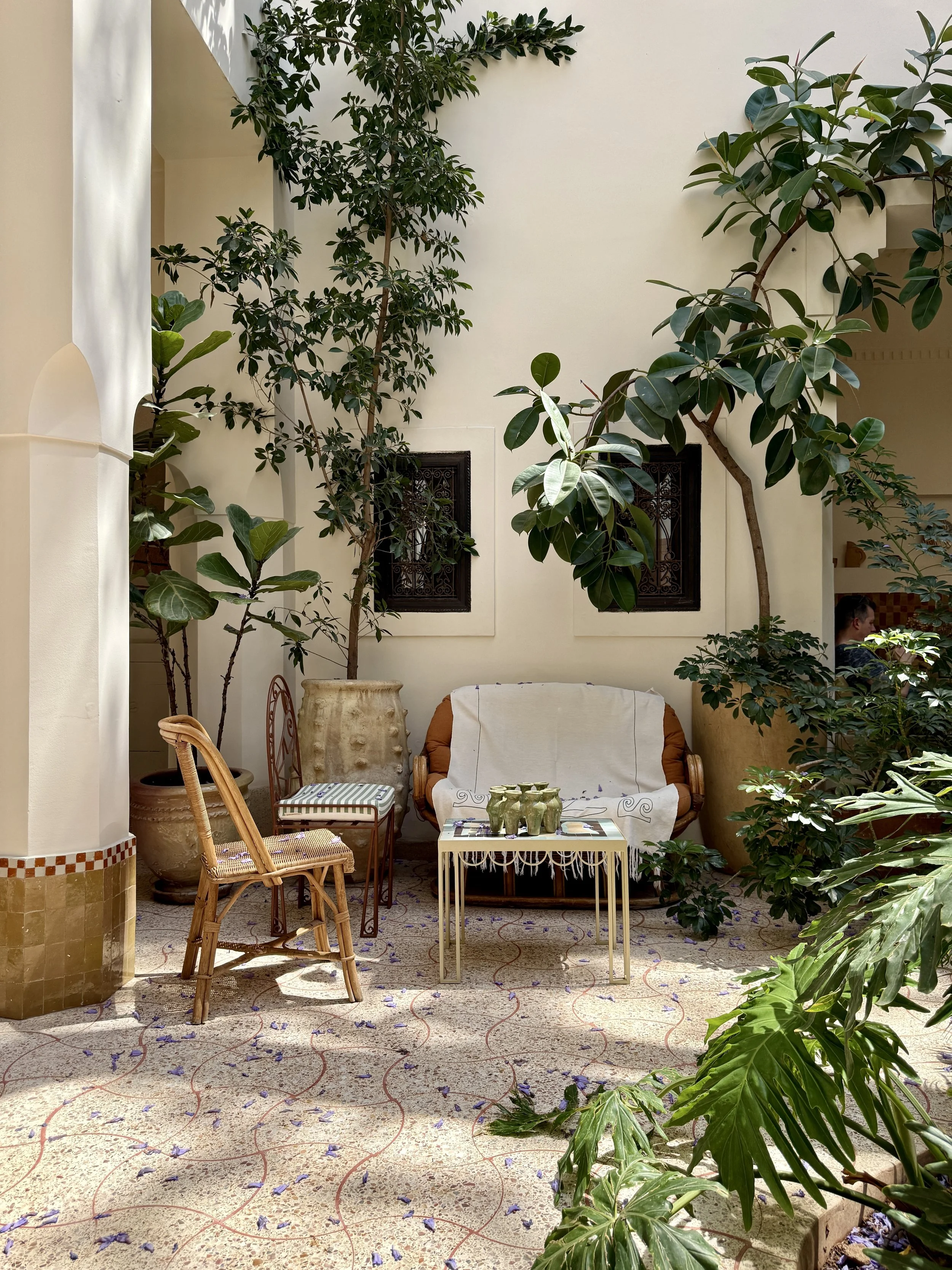 A seating area in the interior courtyard with plants at Riad Rosemary in Marrakech