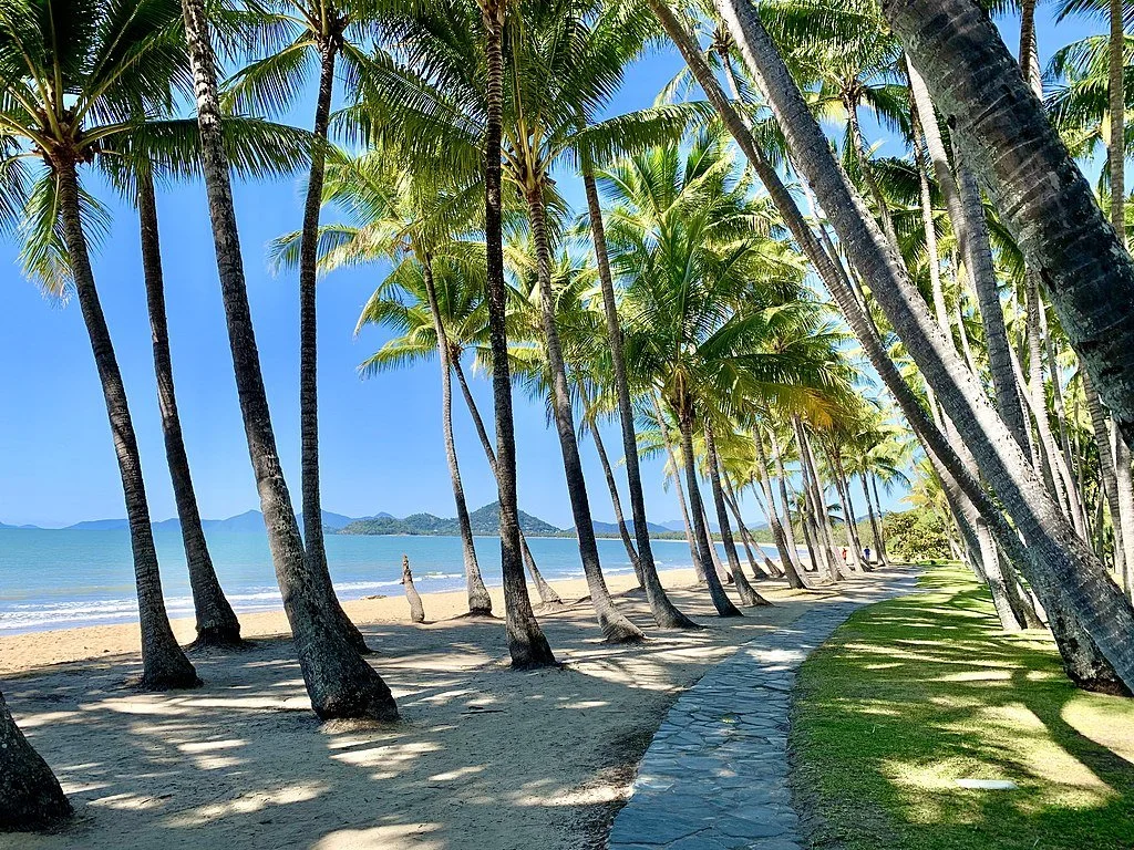 4 Experiences in Palm Cove, Australia