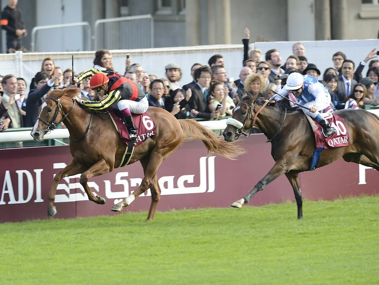 Two horses with jockeys race along the stands at the Prix de l'Arc de Triomphe in France