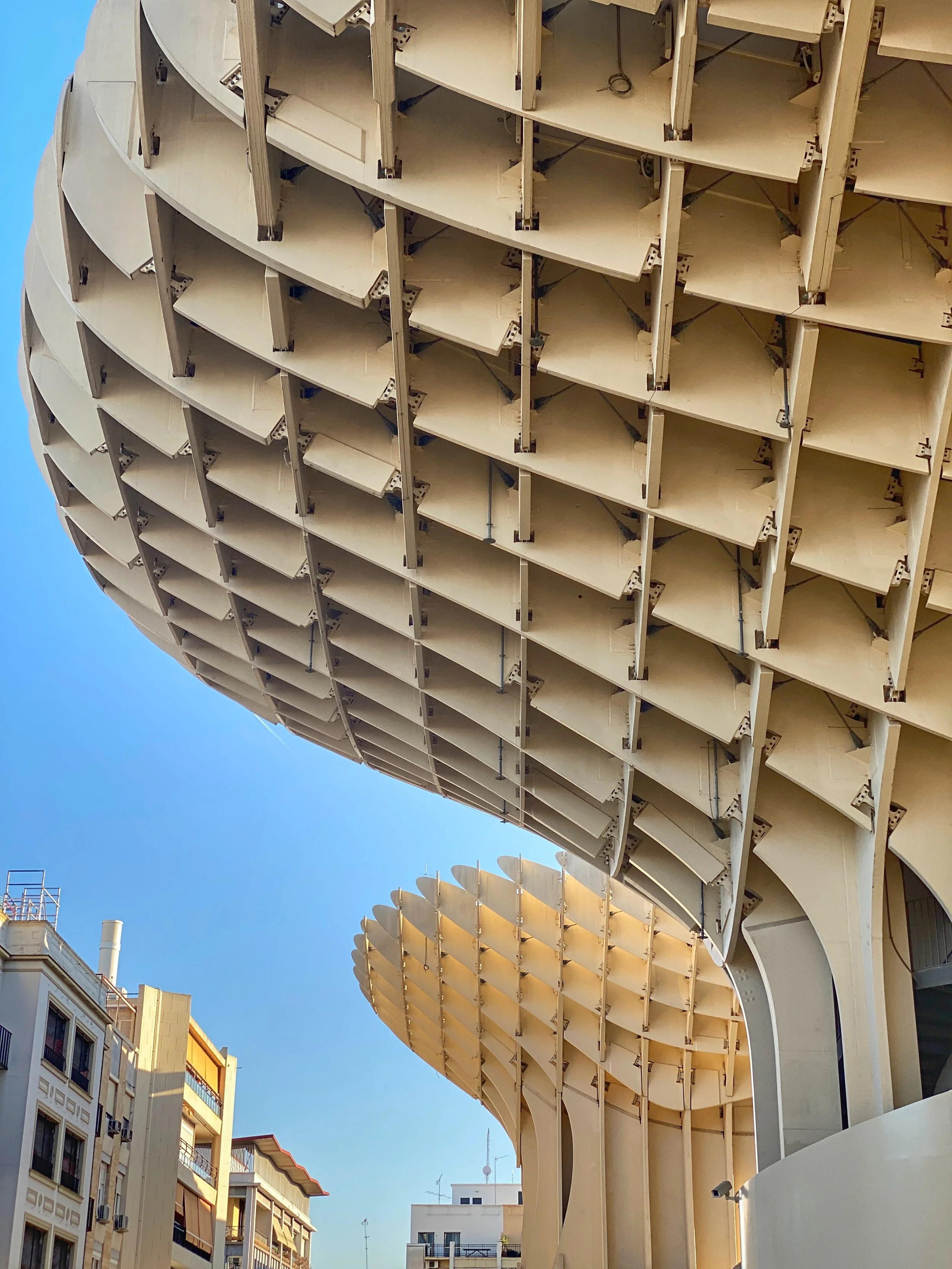 Two rounded outcroppings of Las Setas in Sevilla and the plaza