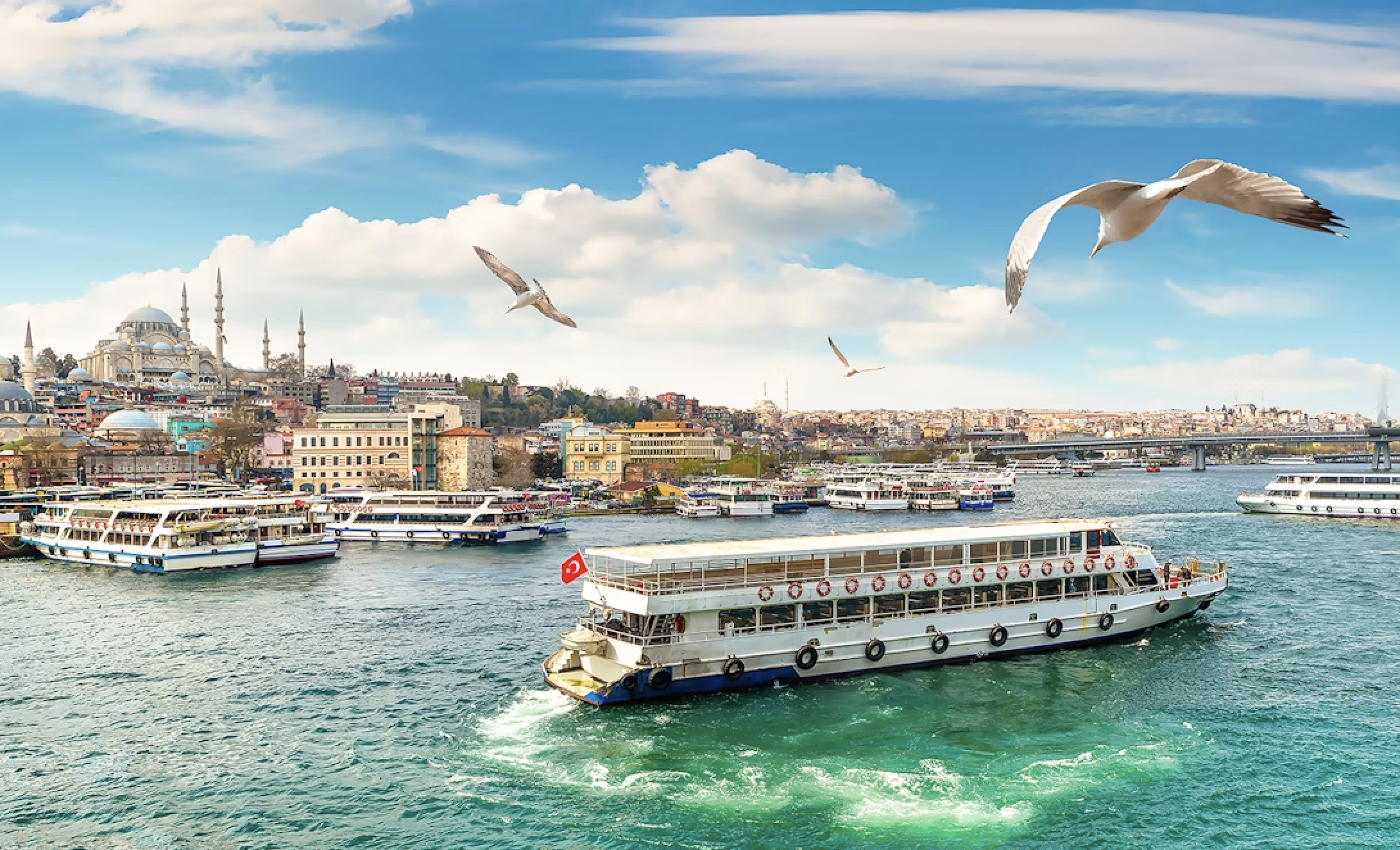 Large tourboats cruise the Bosphorus, with seagulls flying above