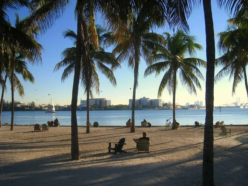 People sit under palm trees on the water at a park in Miami, Florida
