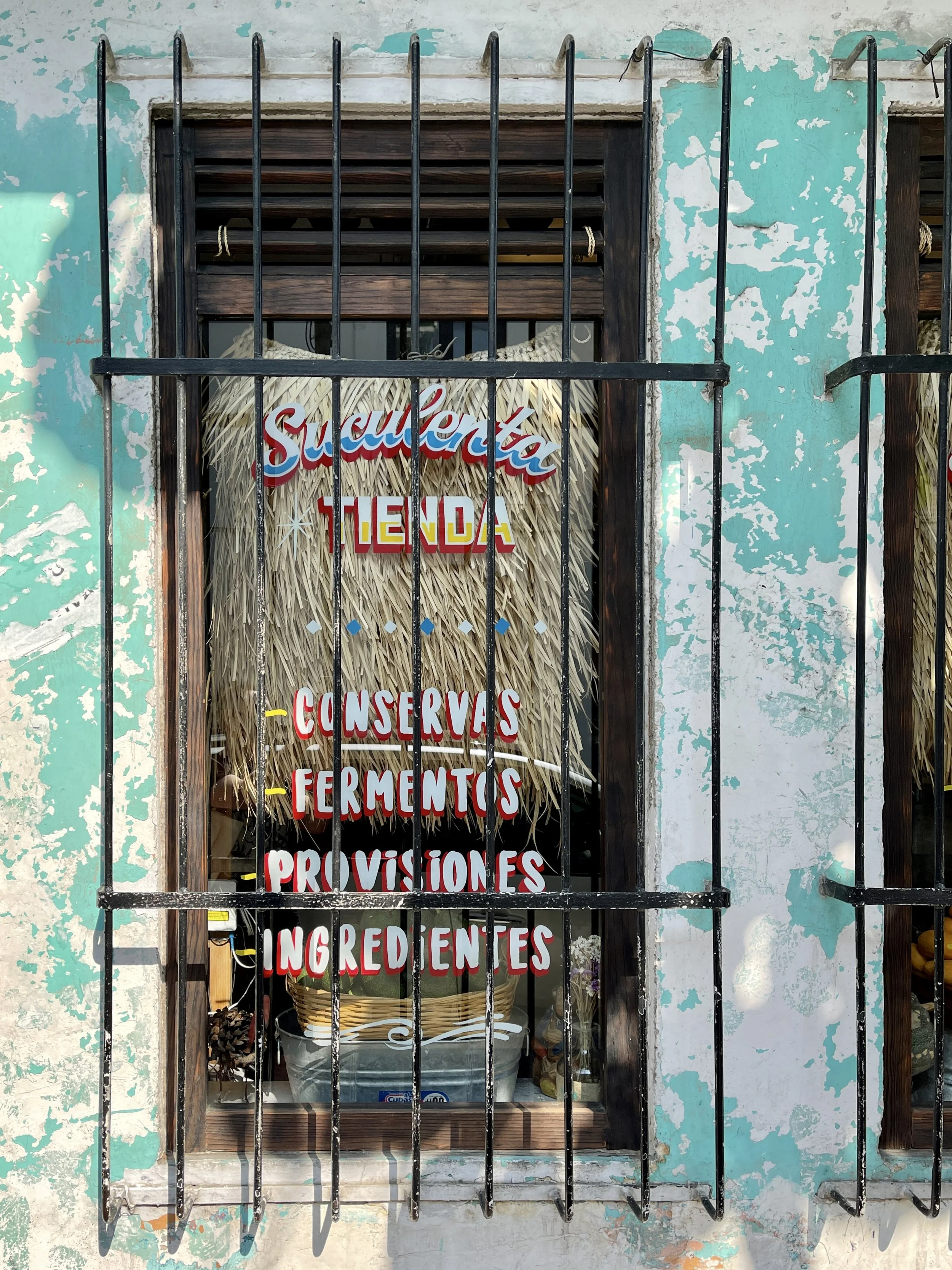 Exterior of Suculenta Tienda, with chipping aqua paint and bars over a window with shop name and what they carry