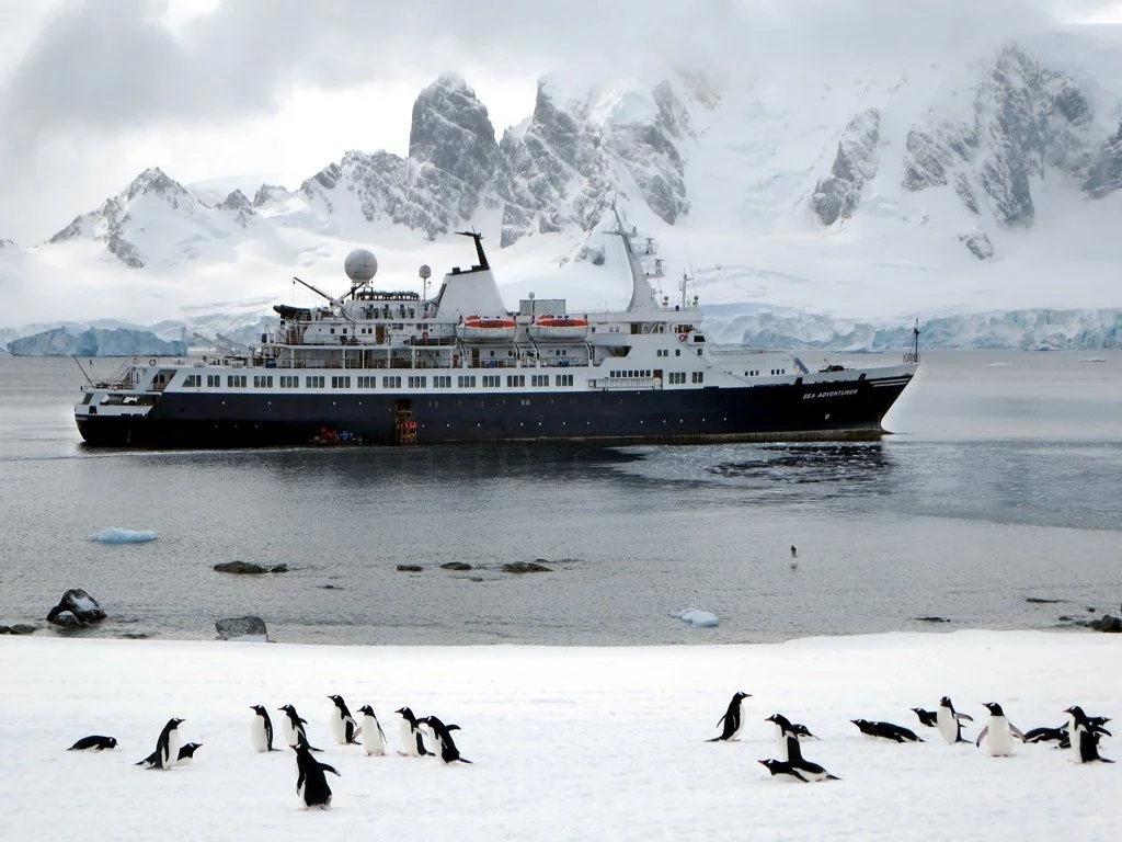 Penguins frolic as a large cruise ship sails by in the Antarctic