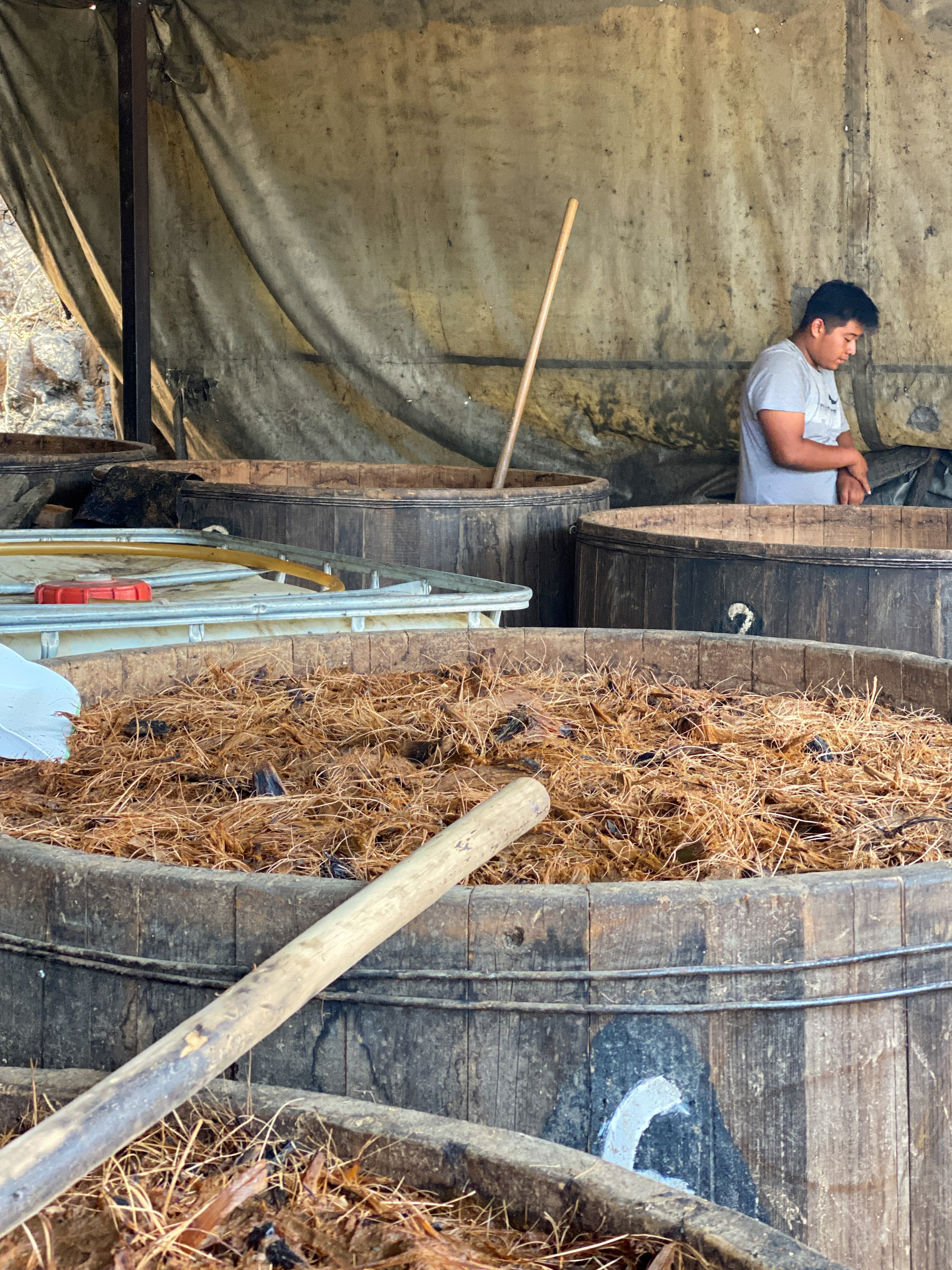 How Is Mezcal Made?