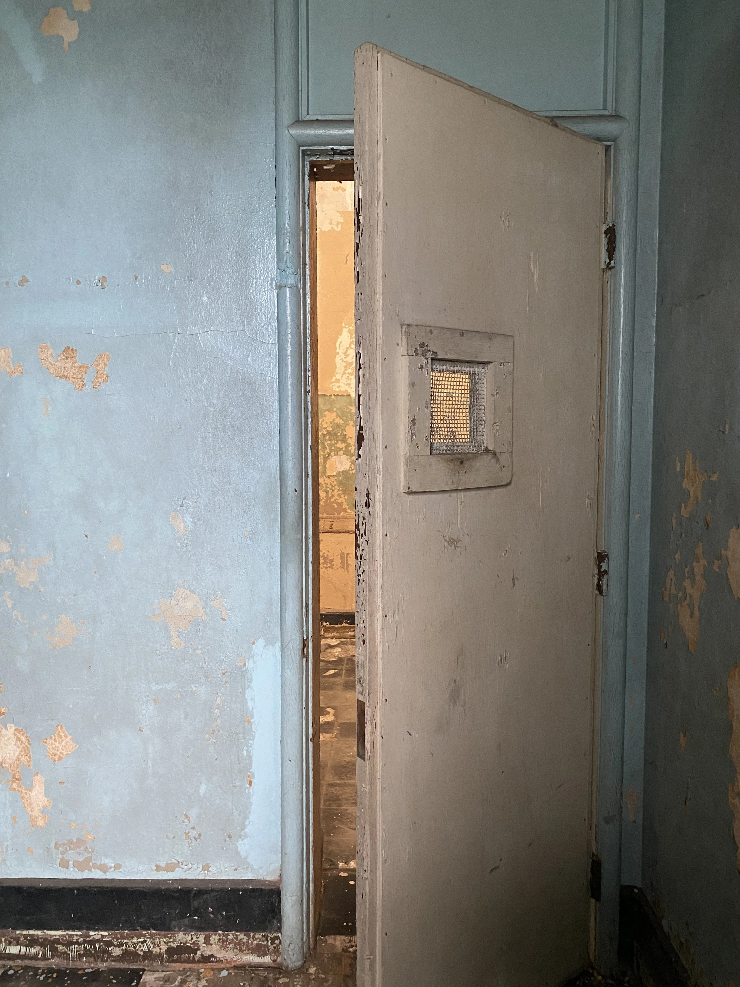 A door with a screen is partially open in a room with peeling blue paint at the abandoned Buffalo State Asylum