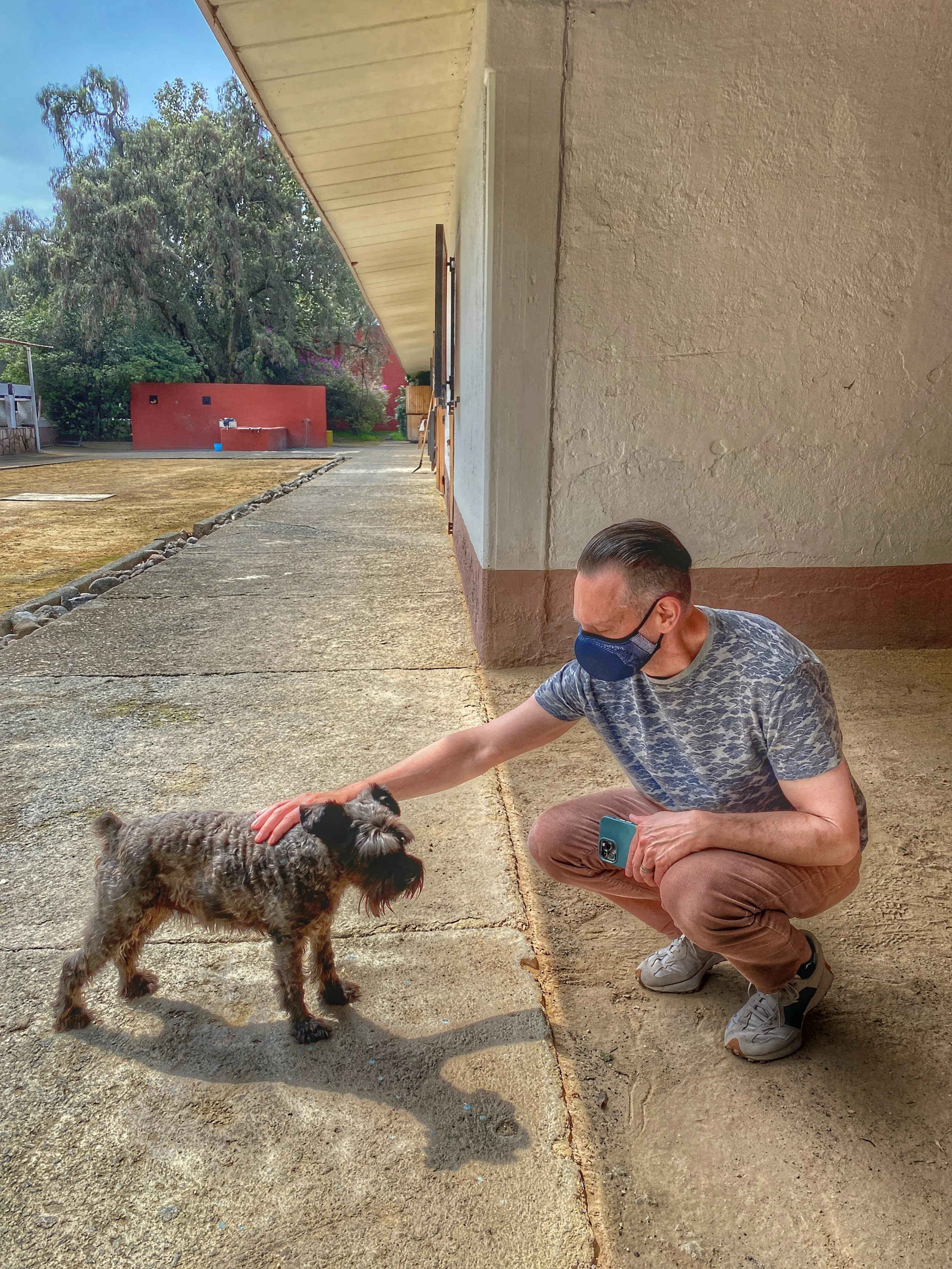 Man pets black schnauzer