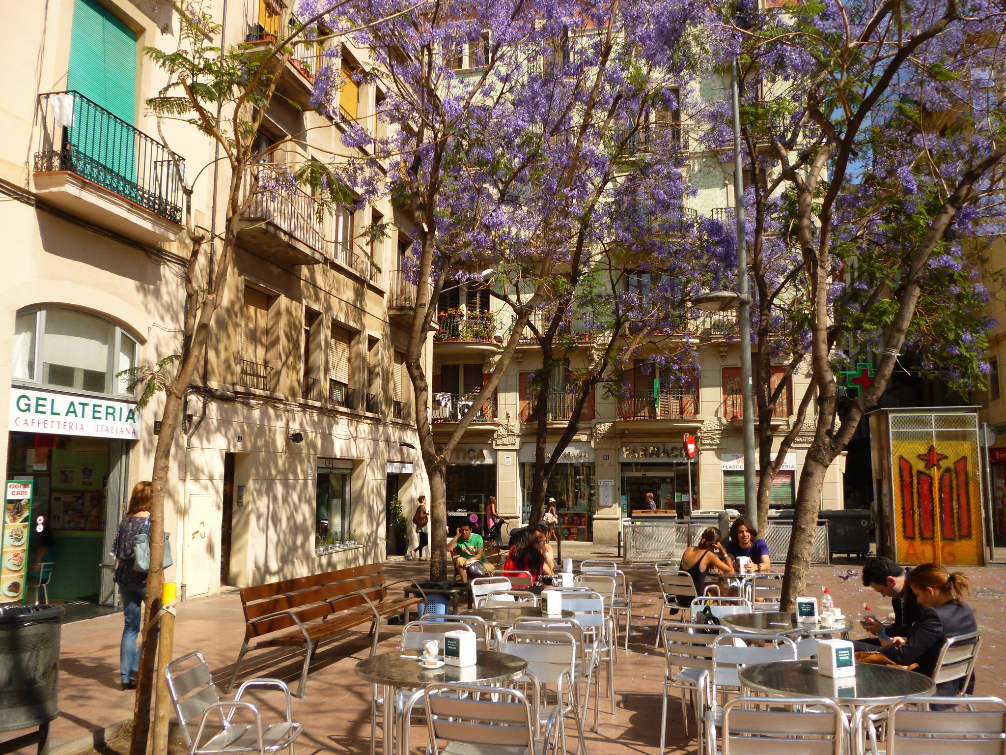 People eat in an outdoor courtyard in a plaza in Gràcia under purple flowering trees