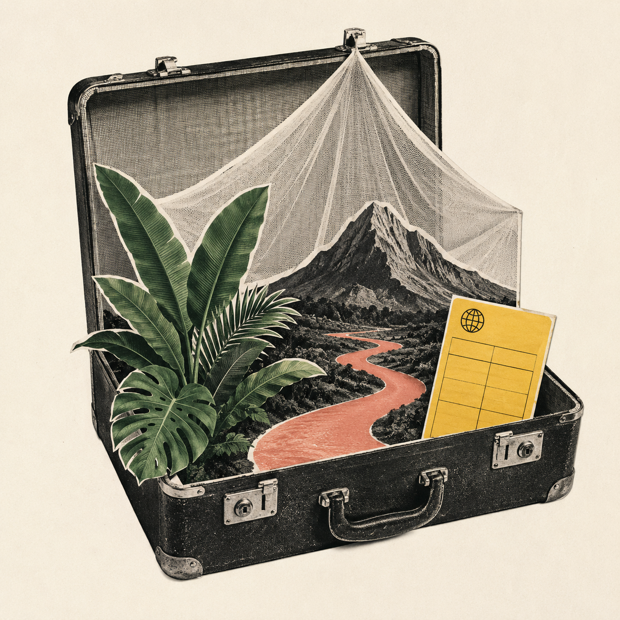 Collage with palm, mountain, red river, vaccination card and mosquito netting in a suitcase