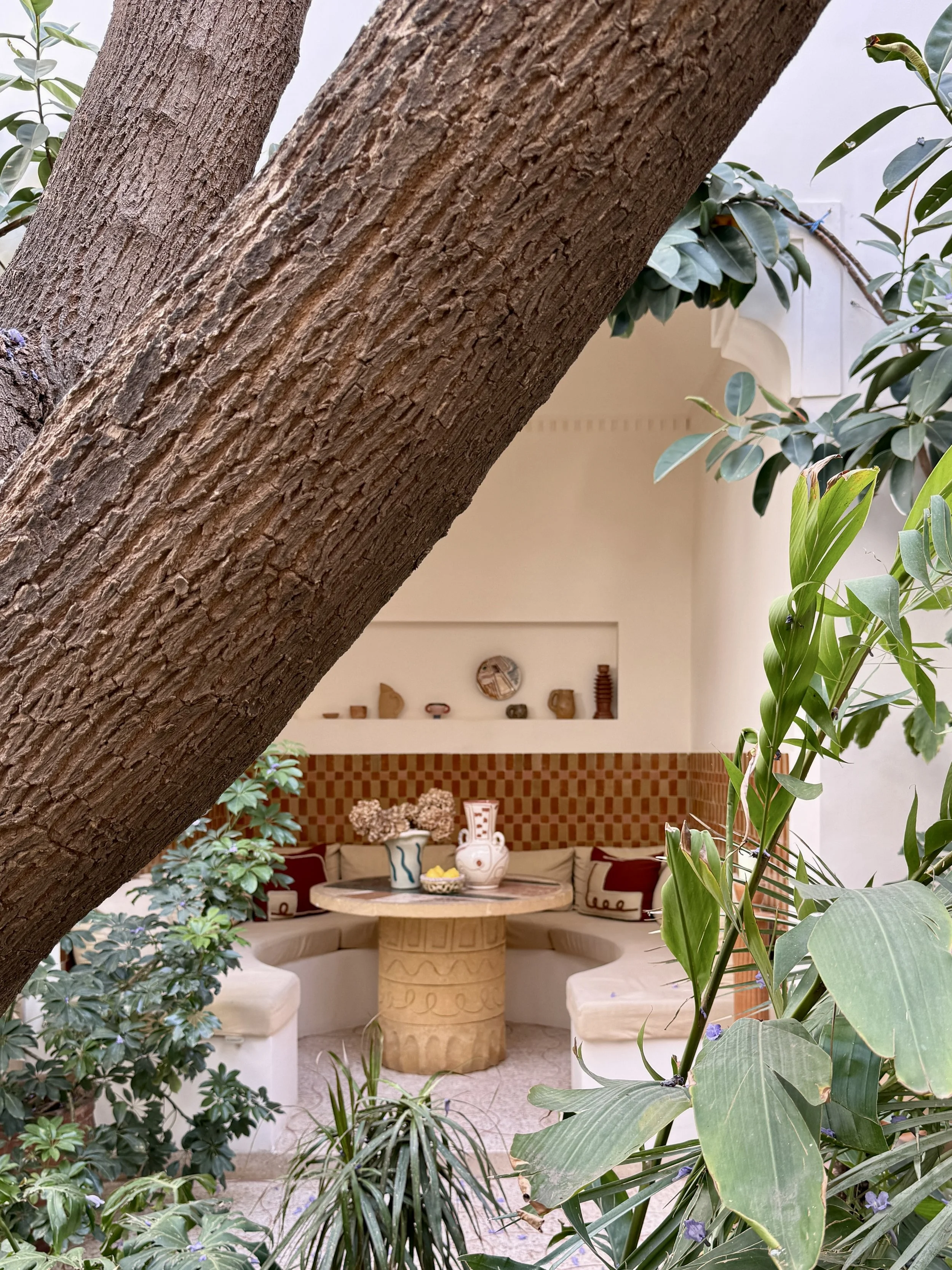 A circular seating area by a large tree in the interior courtyard of Riad Rosemary in Marrakech