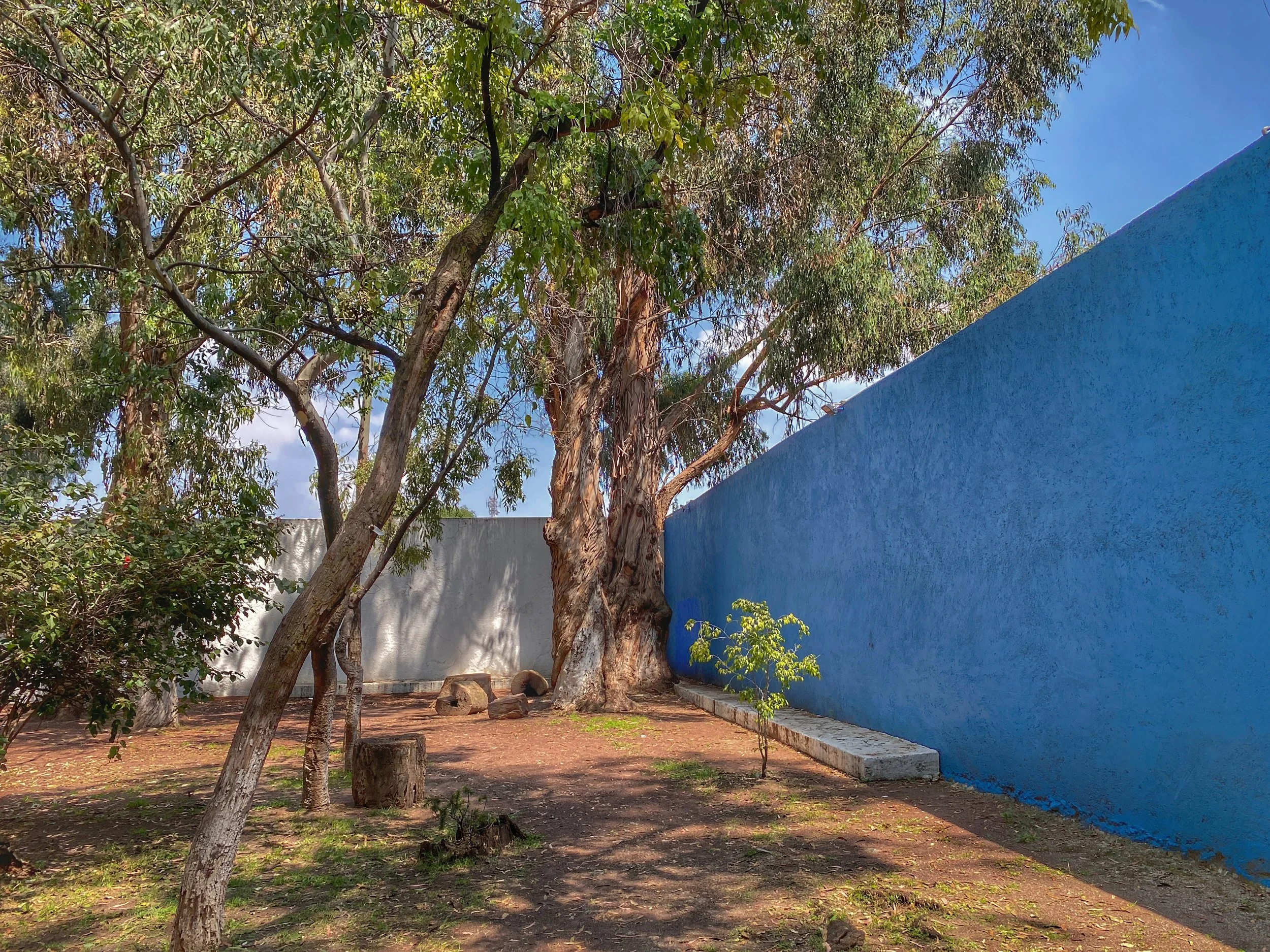 White and blue walls at Parque Los Bebederos