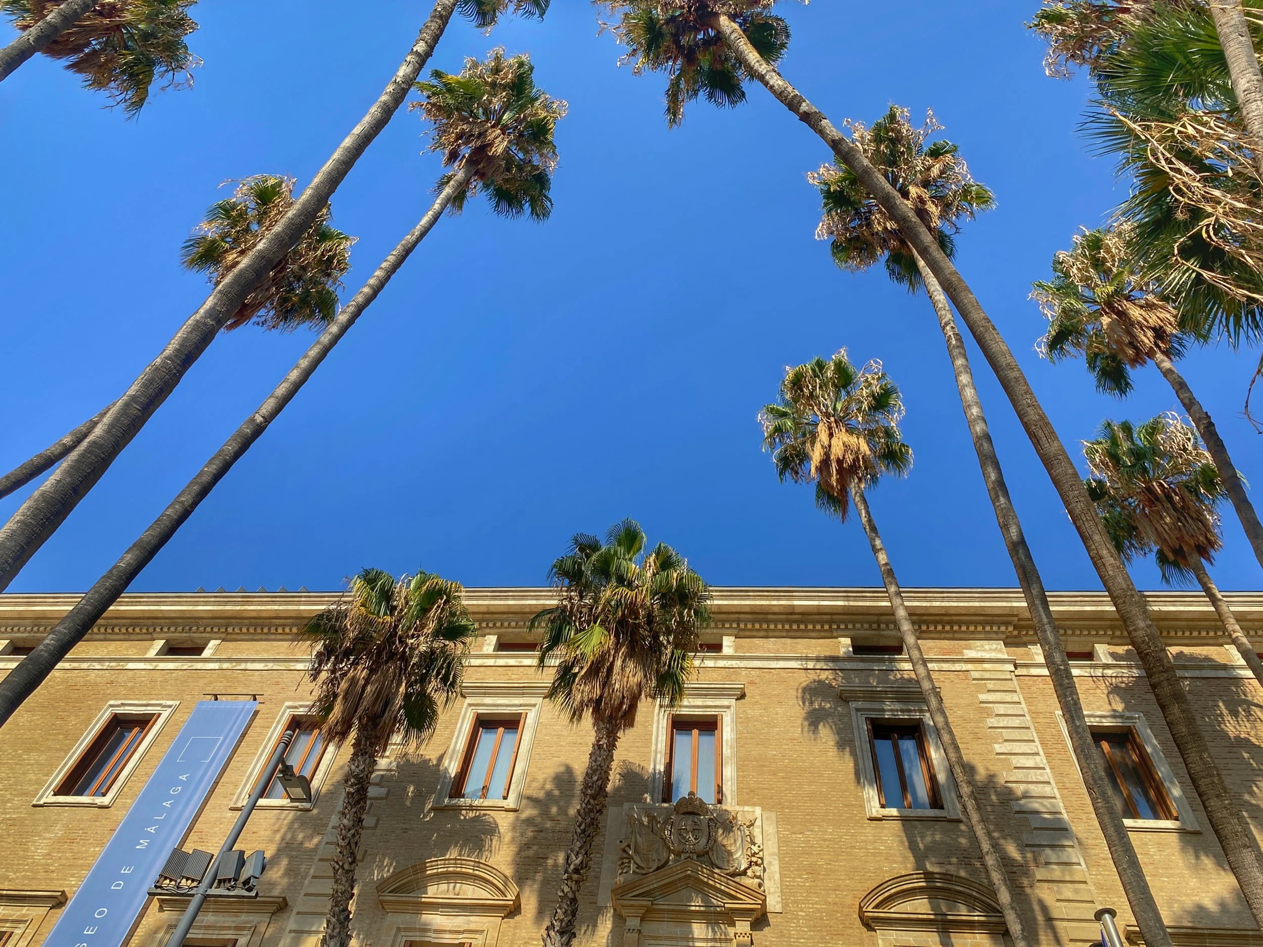 Museo de Malaga exterior with palm trees