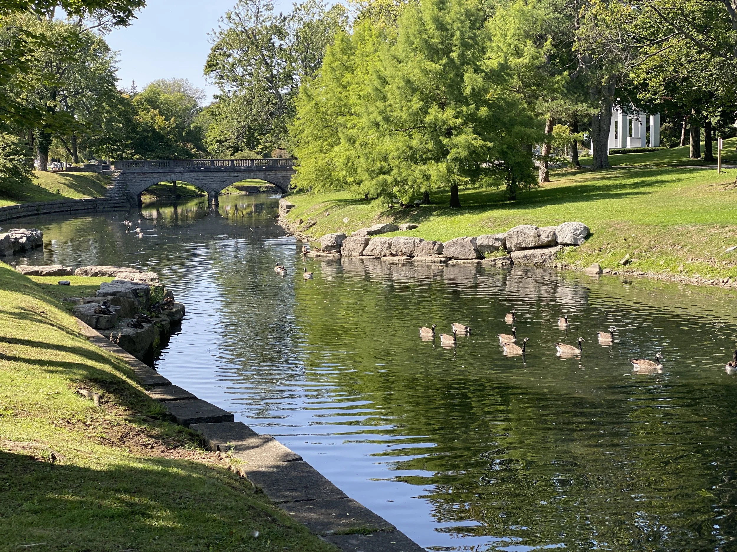 River with ducks and bridge by grassy banks at Forest Lawn Cemetery