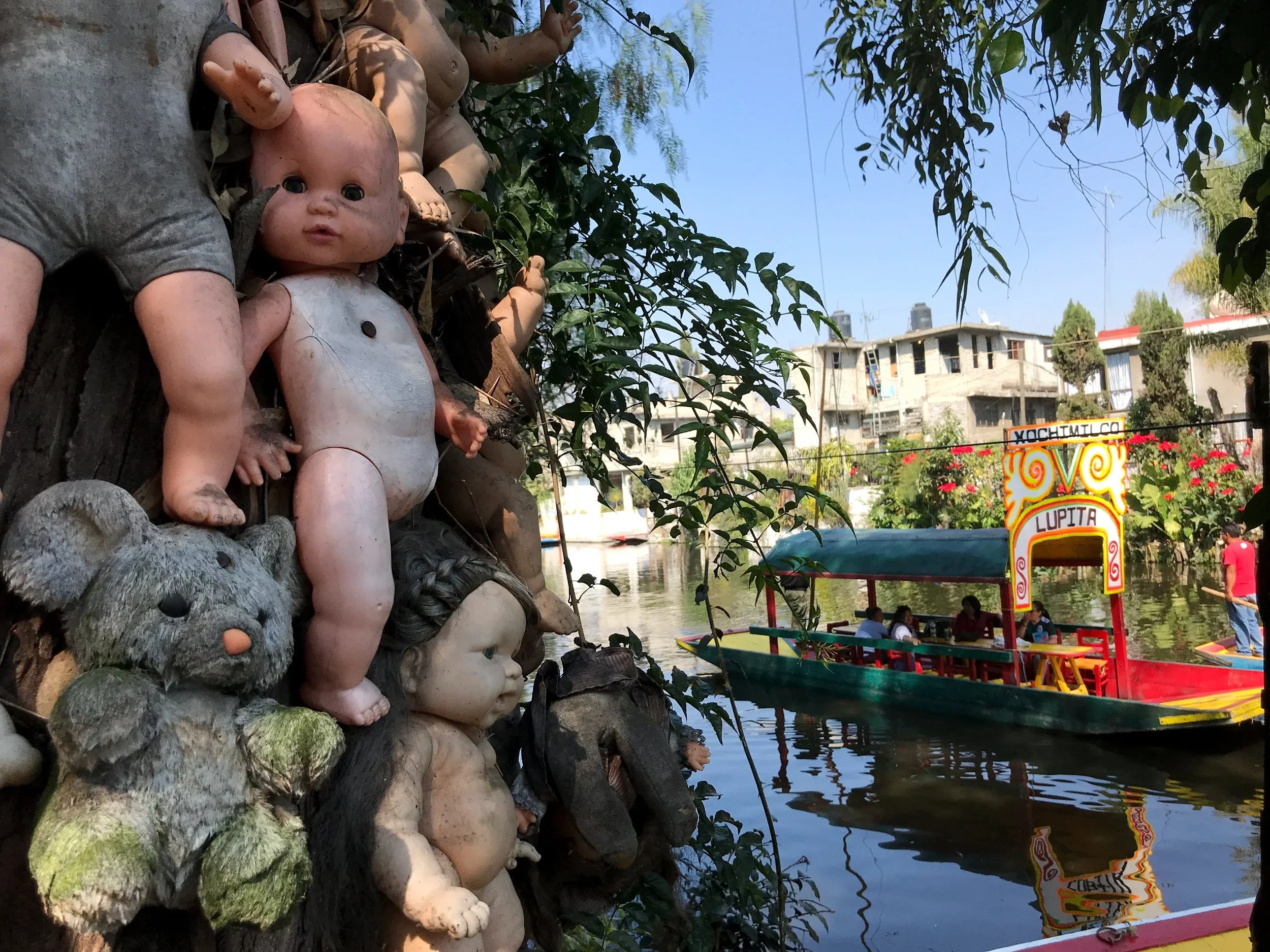 Dolls and stuffed animals are nailed to a tree on the Island of the Dead Dolls on an island in Xochimilco, CDMX