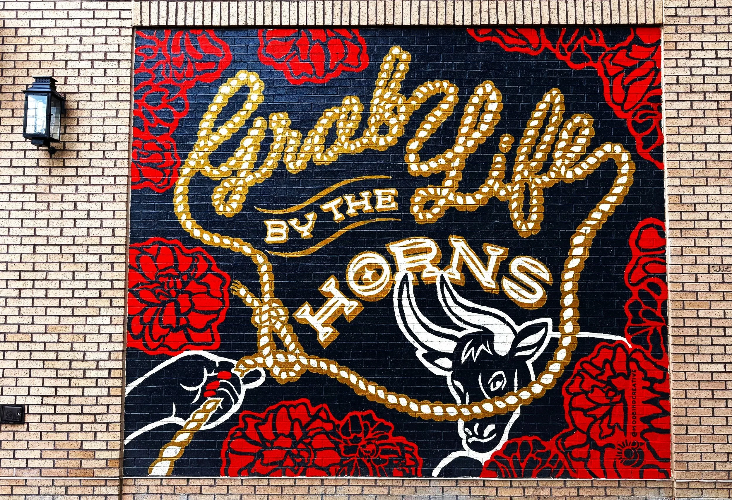Mural of flowers, lasso and bull that reads, "Grab life by the horns" in Starland, Savannah, Georgia