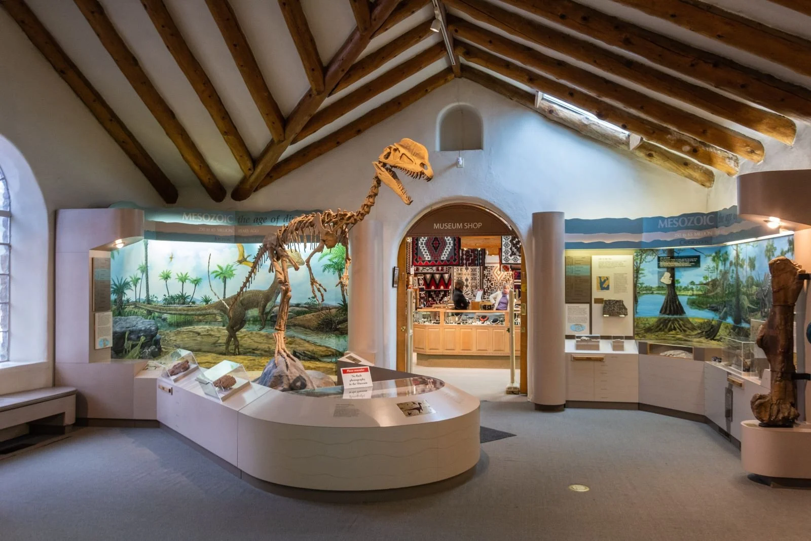 A dinosaur skeleton and other items on display at the Museum of Northern Arizona in Flagstaff